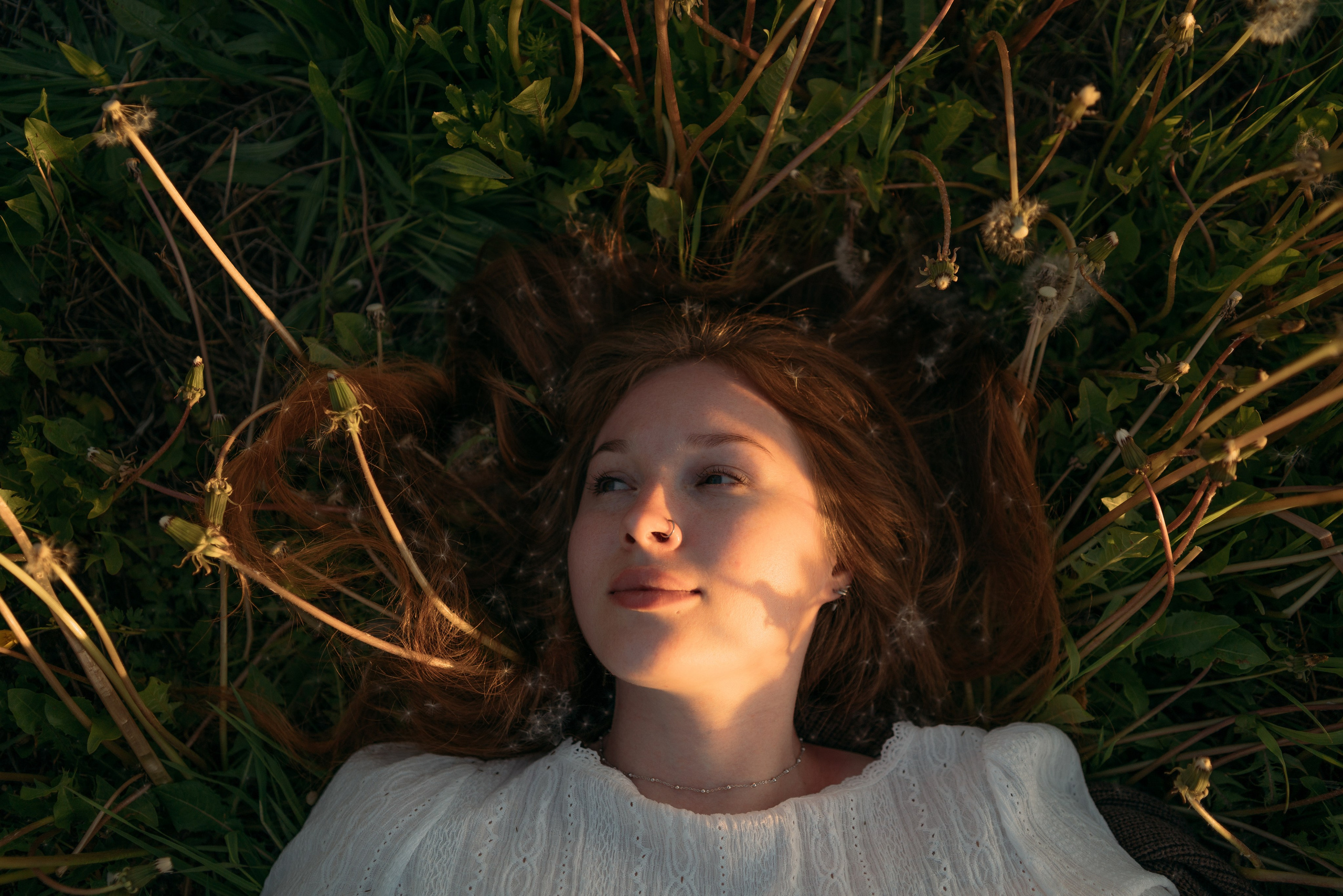 Одуванчики…. FotoTanya. Раменское/Жуковский/Бронницы