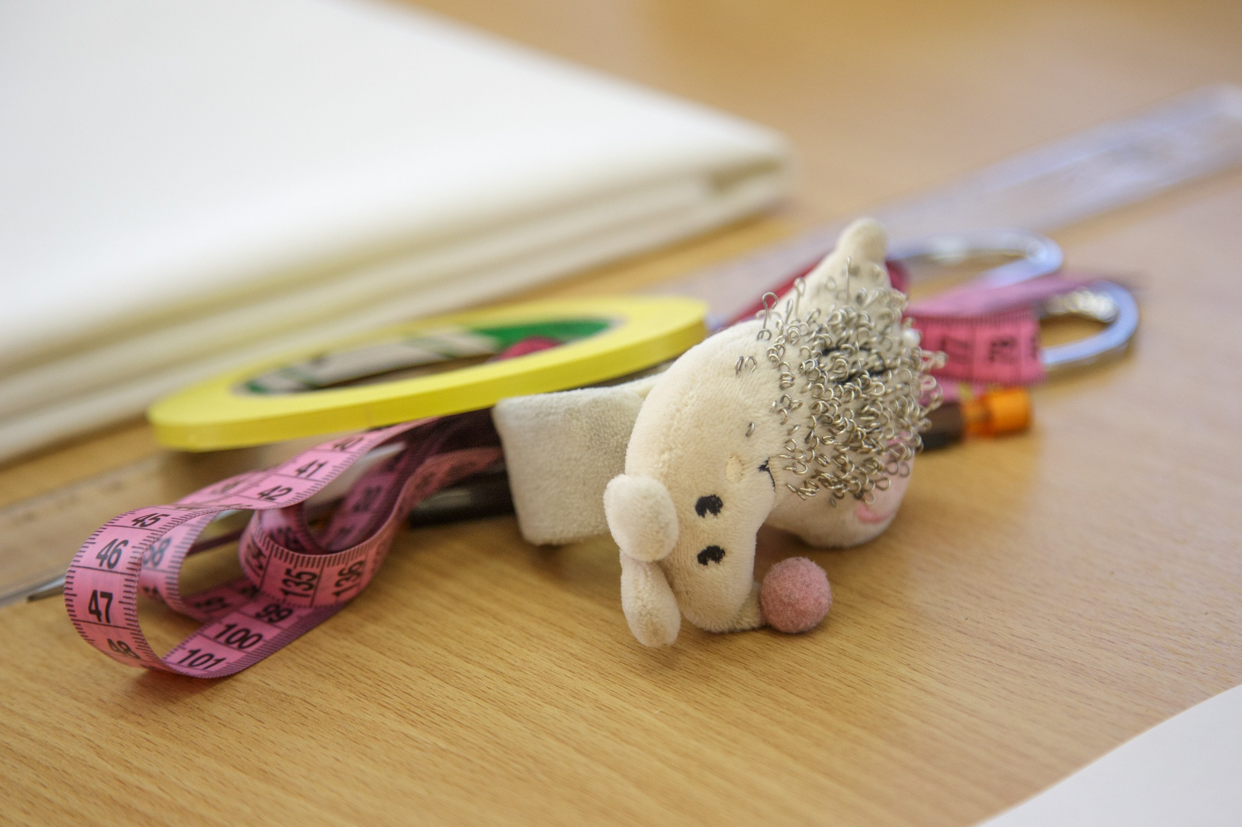 Чемпионат «Молодые профессионалы». Фотограф Юлия Близнецова