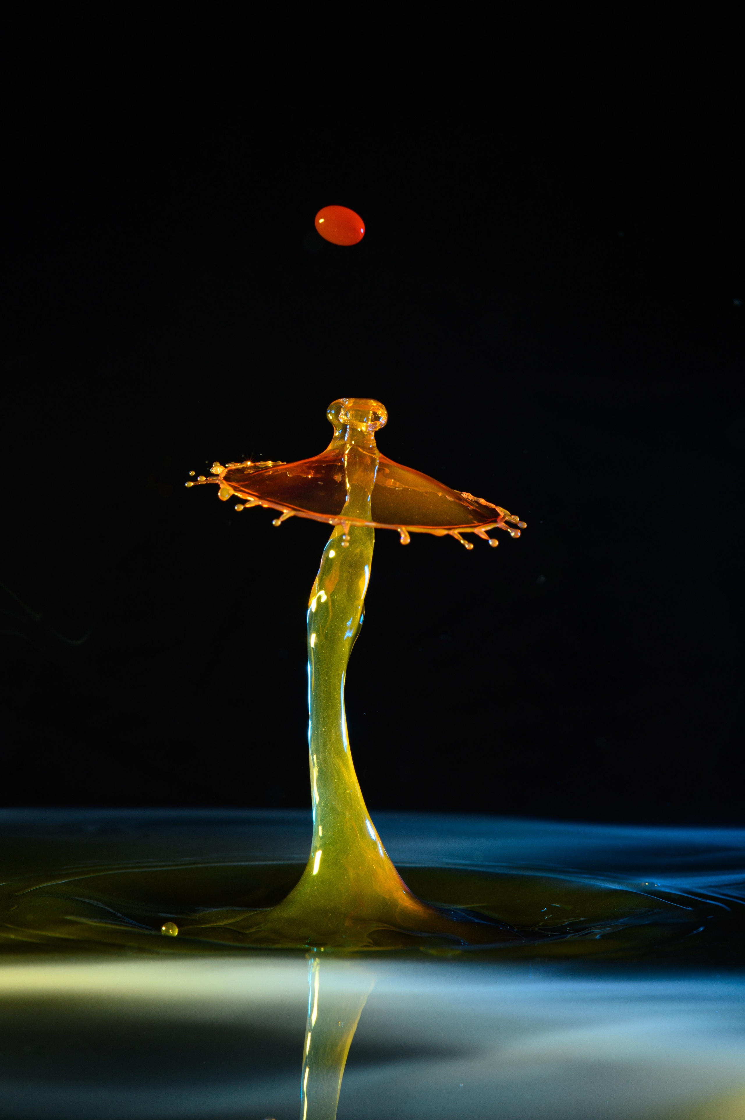 Watert drop. Фотограф в городе Омске Константин Зоткин
