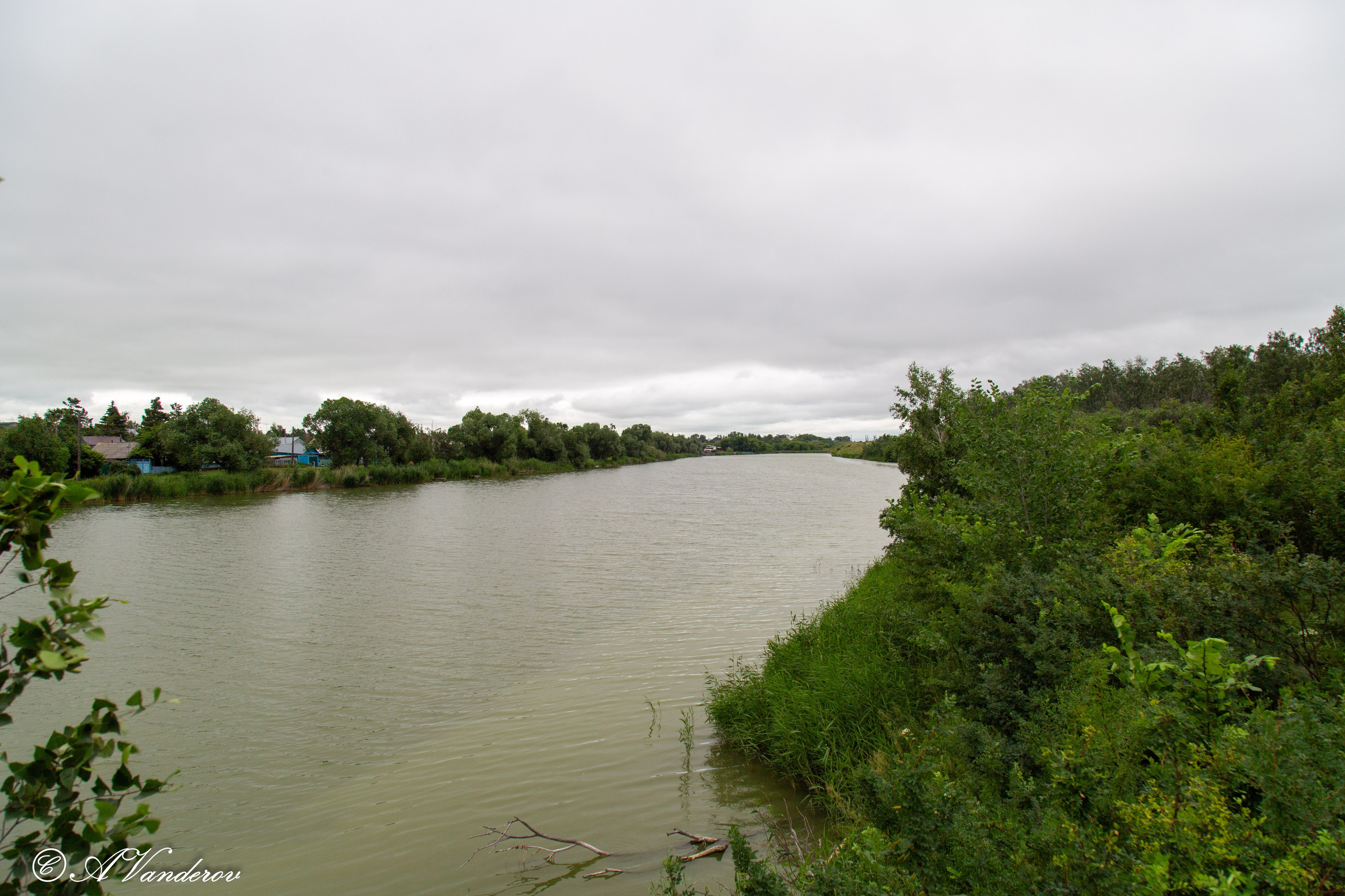 Калачинск 07.07.2024. Фотограф Омск | Александр Вандеров
