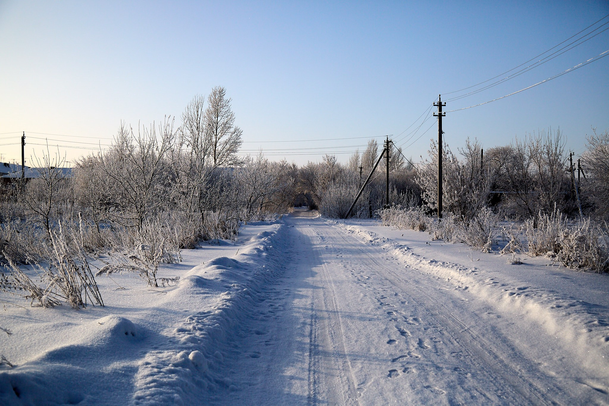 Предновогодняя сказка. Фотограф Омск | Александр Вандеров