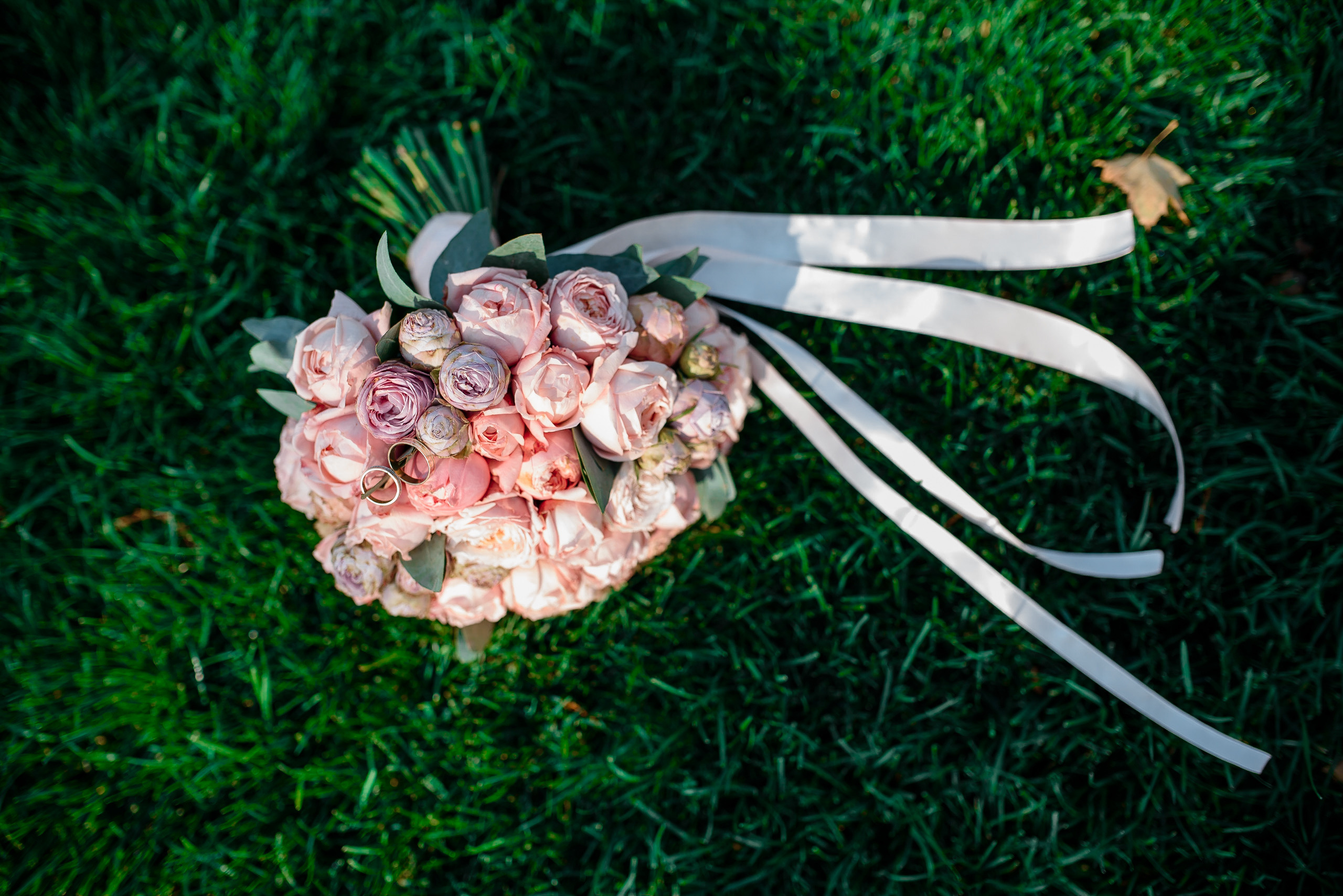 Фотограф Краснодар Николай Андросов