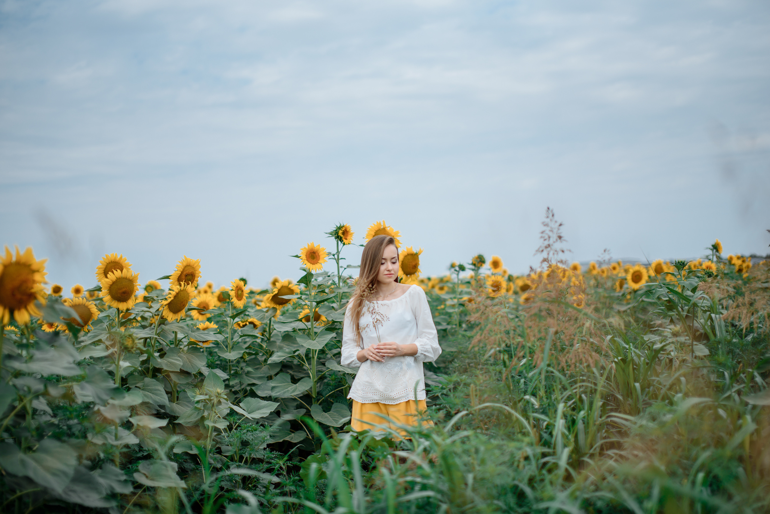 Прогулка. Фотограф Краснодар Николай Андросов