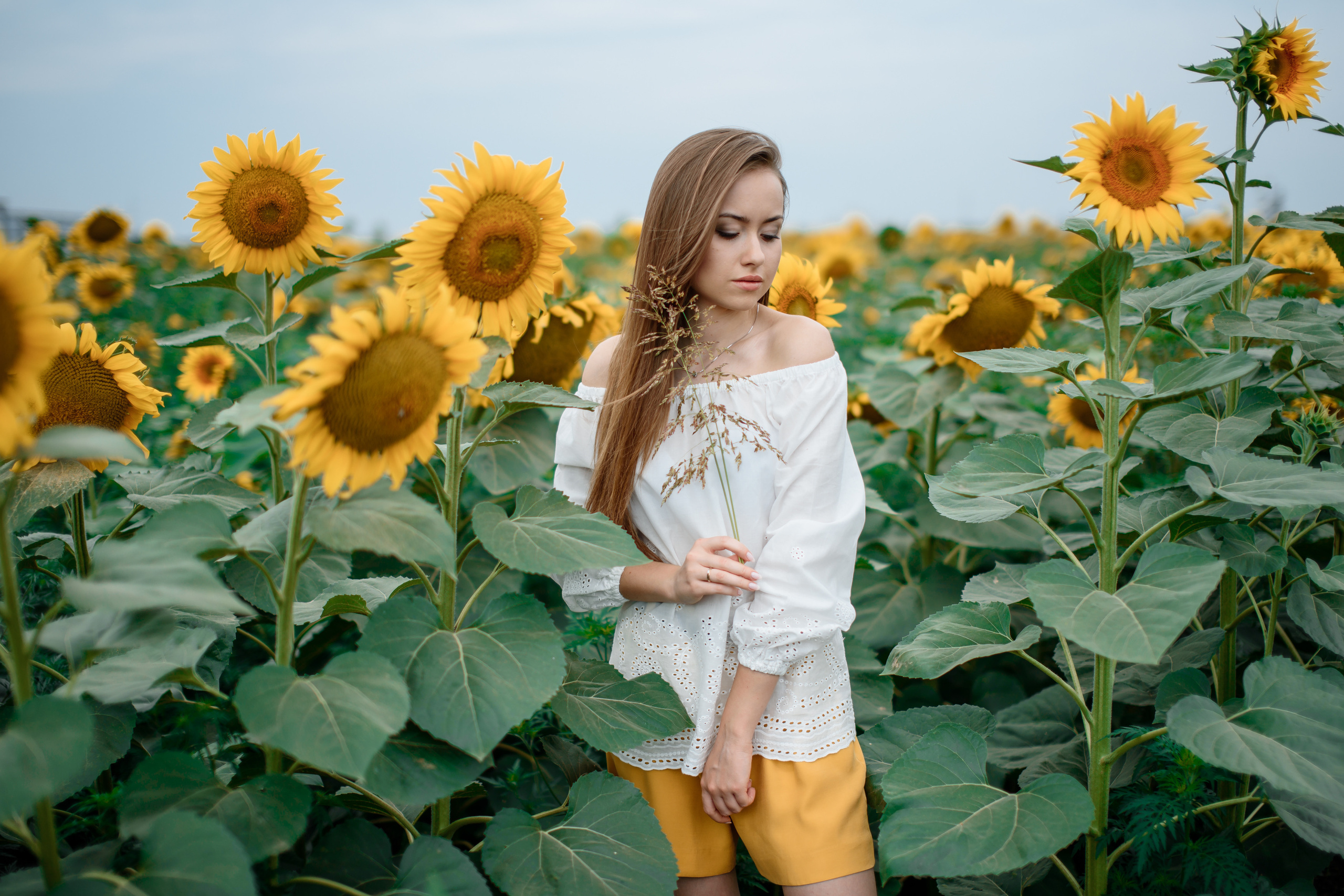 Прогулка. Фотограф Краснодар Николай Андросов