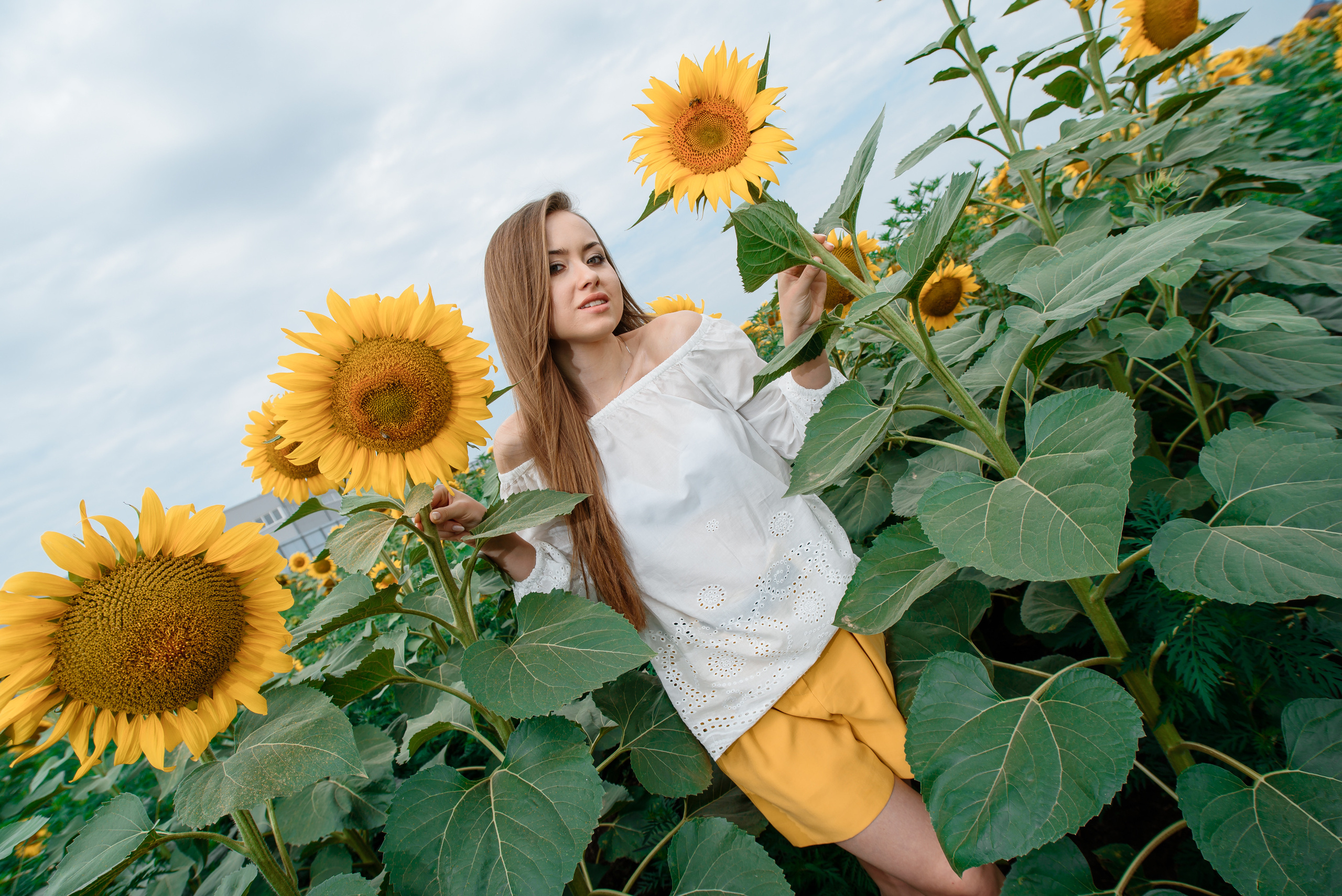 Прогулка. Фотограф Краснодар Николай Андросов