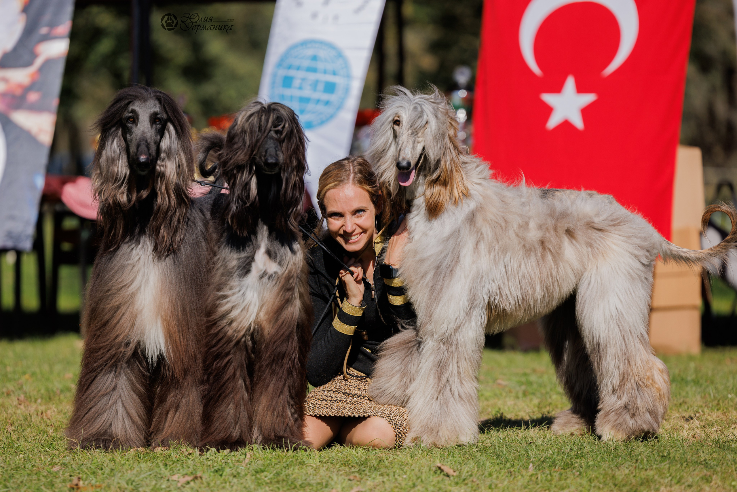 Туция,Стамбул 2хCACIB 26-27.10.24. Фотограф-анималист Юлия Германика