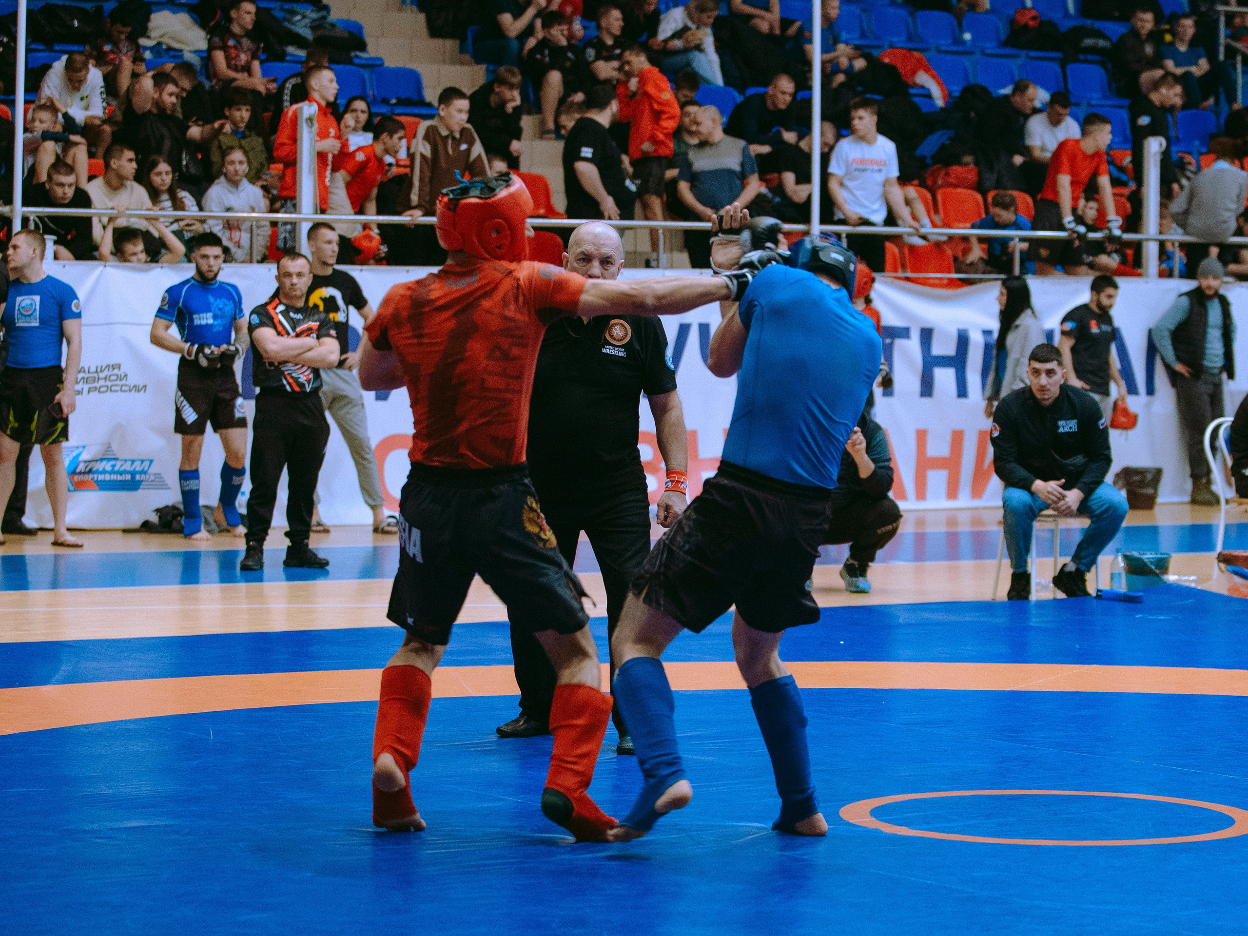 ПАНКРАТИОН | Чемпионат и первенство СФО | март `24. Портретный фотограф в Москве Дарья Цезария