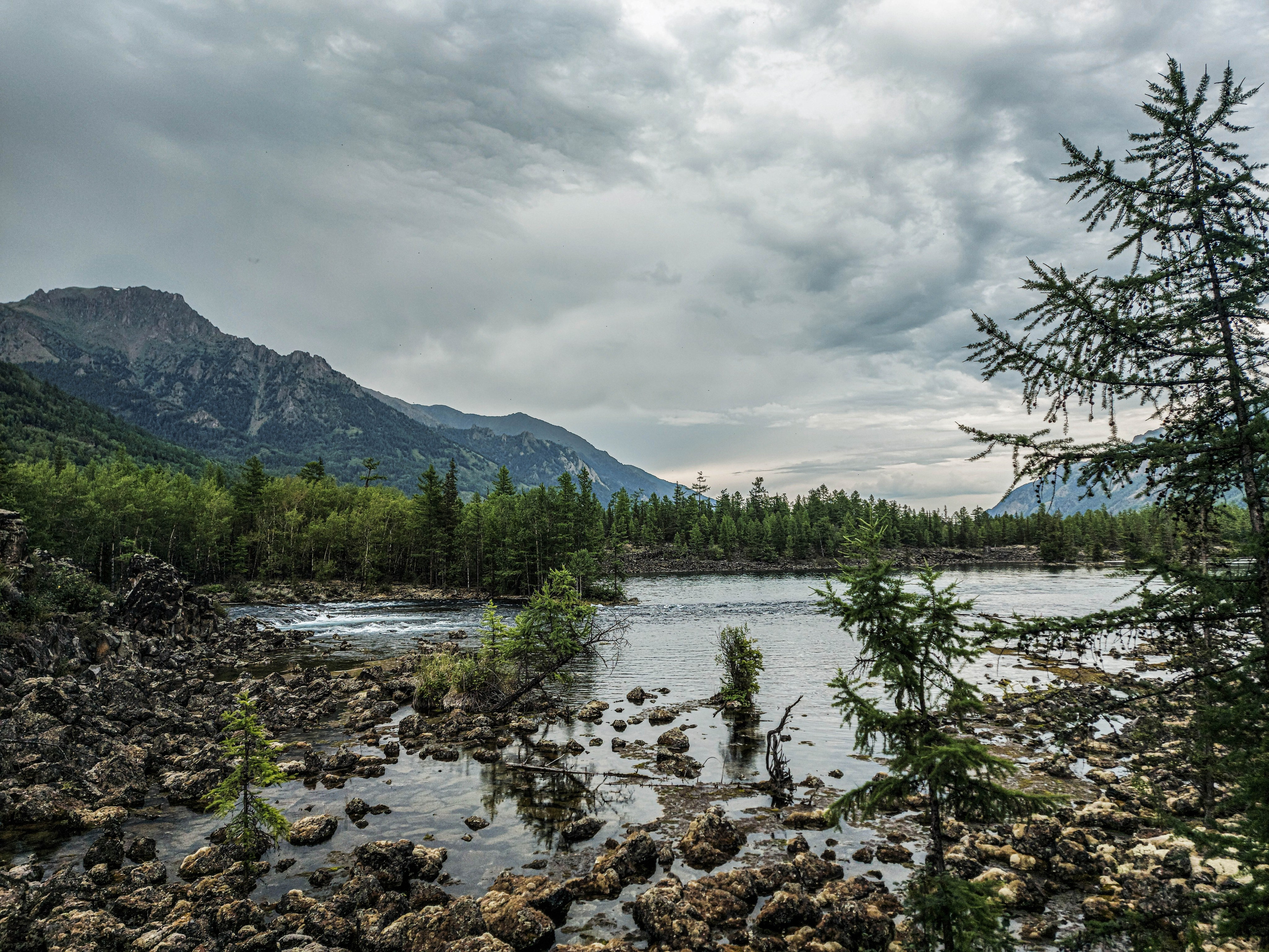 Природа. Главная