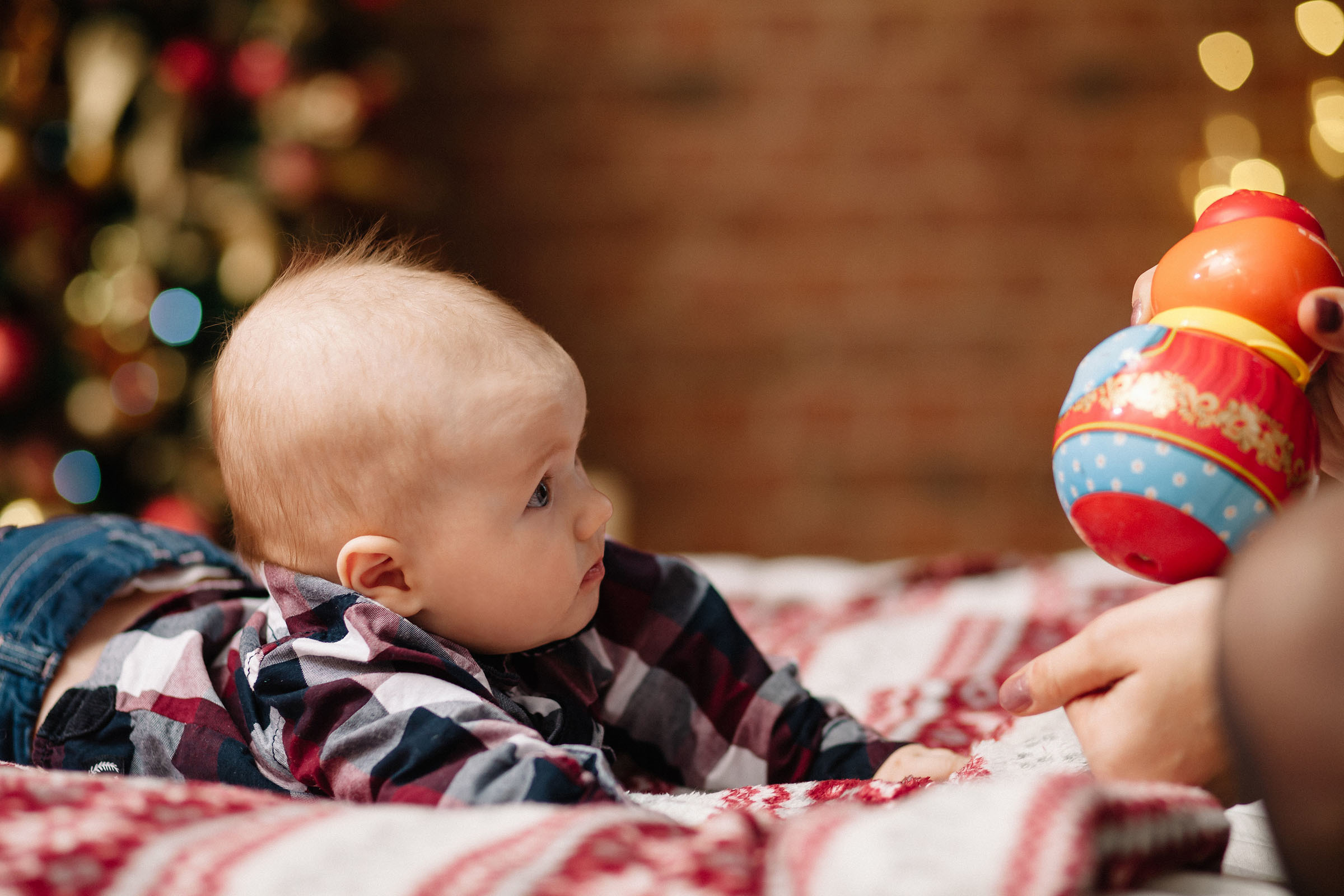 Новый год / Фотостудия «Шишка». Семейный и свадебный фотограф в Майкопе Михаил Мартиросян