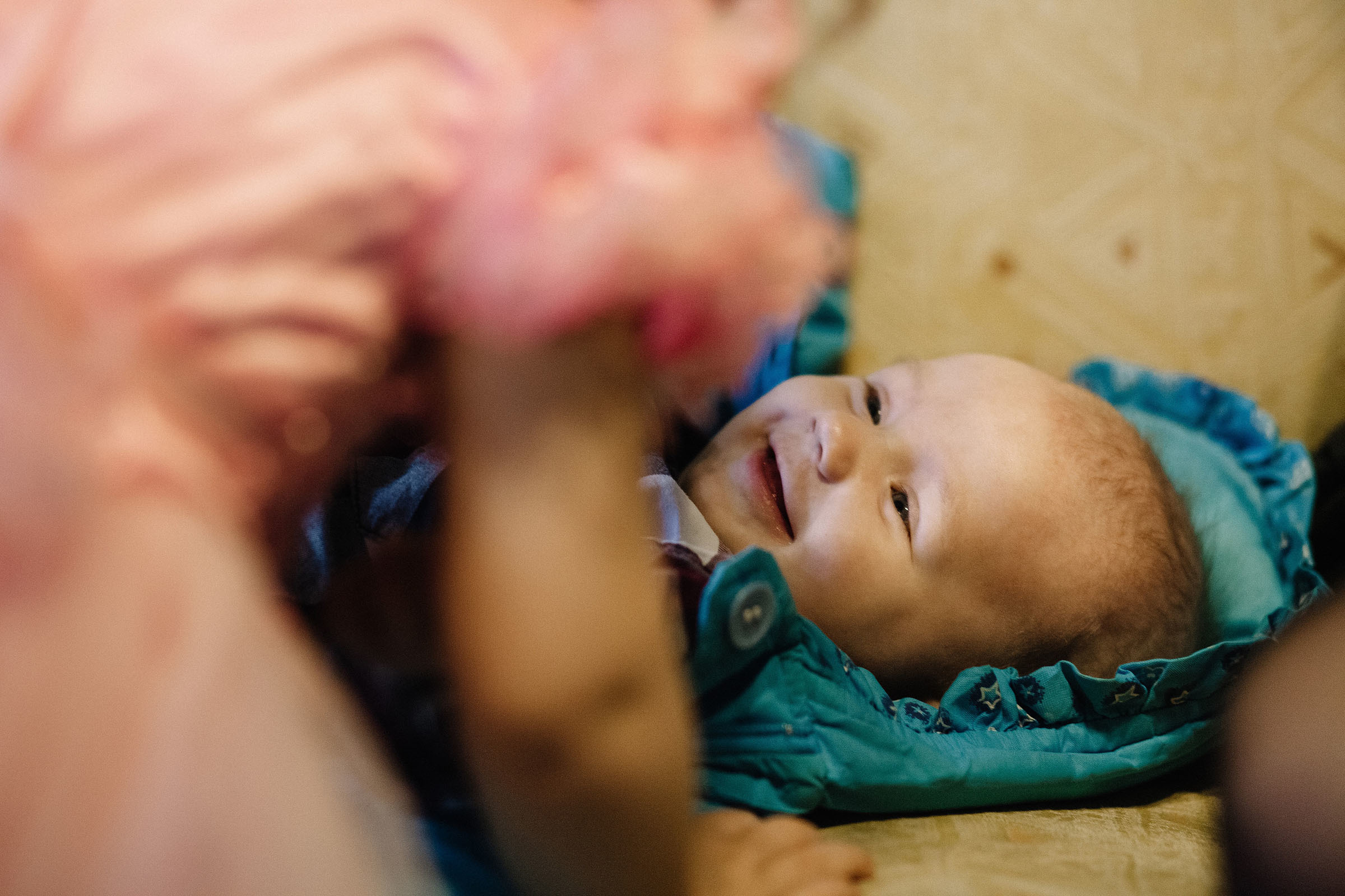 Новый год / Фотостудия «Шишка». Семейный и свадебный фотограф в Майкопе Михаил Мартиросян