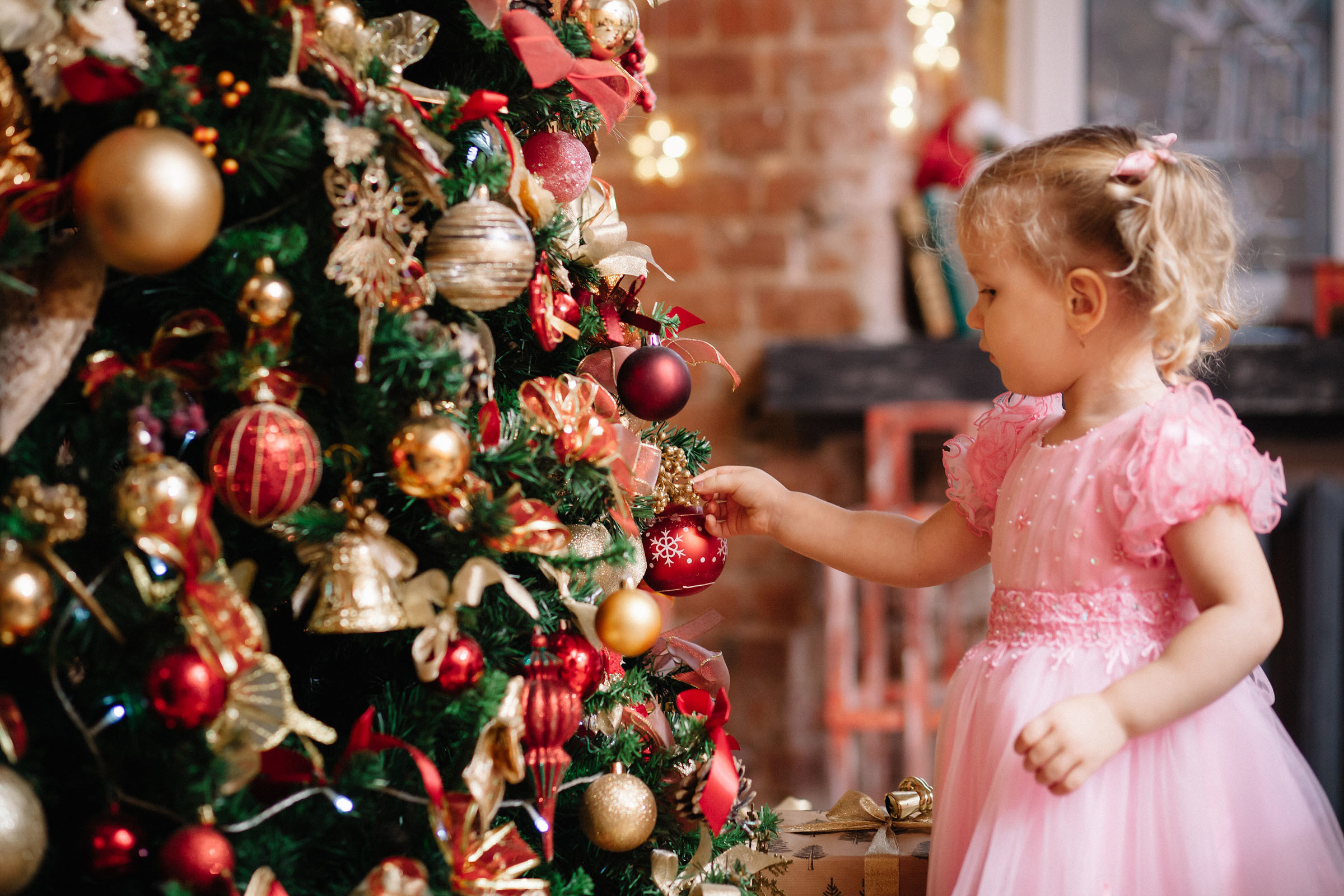 Новый год / Фотостудия «Шишка». Семейный и свадебный фотограф в Майкопе Михаил Мартиросян