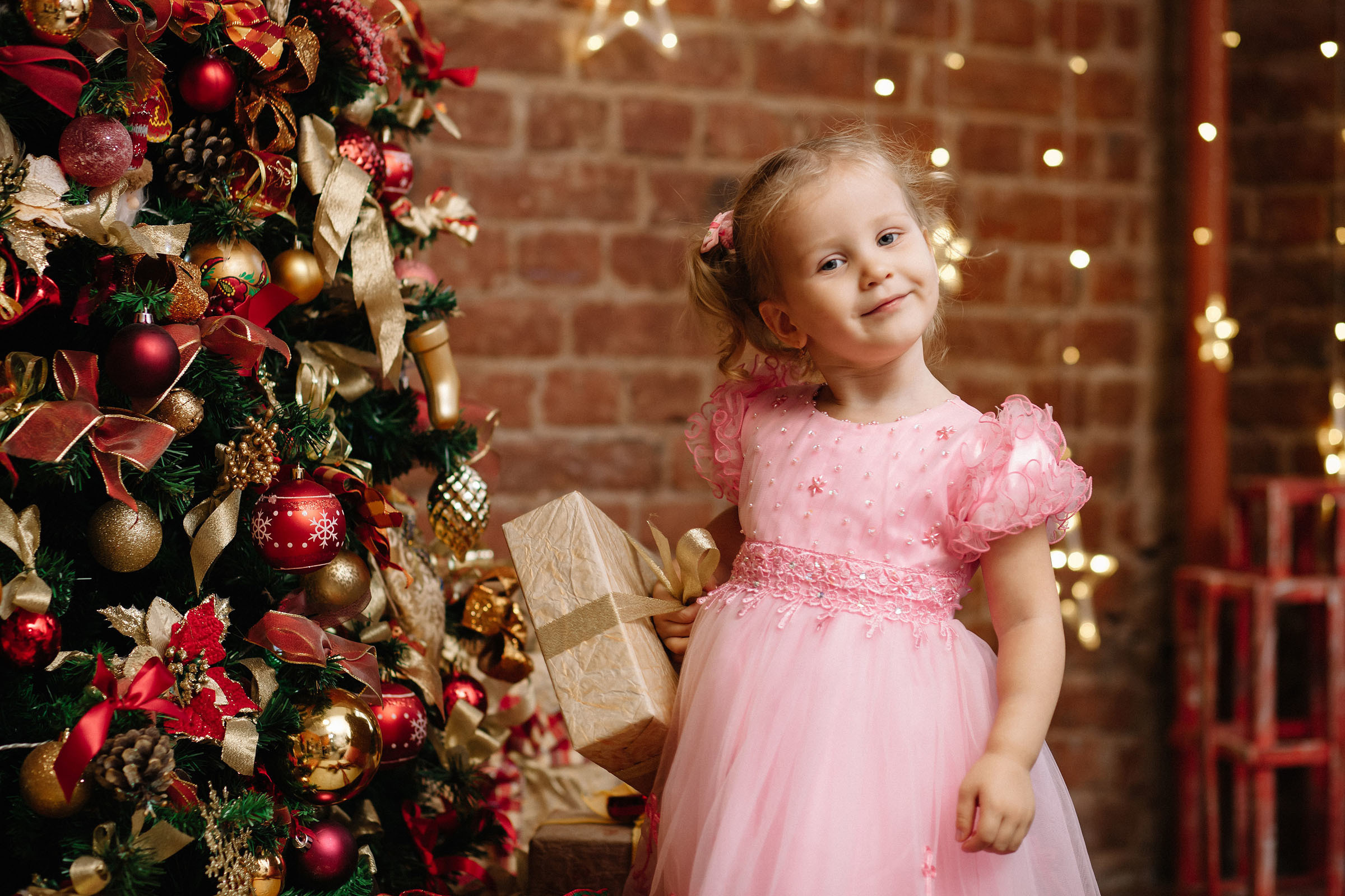 Новый год / Фотостудия «Шишка». Семейный и свадебный фотограф в Майкопе Михаил Мартиросян