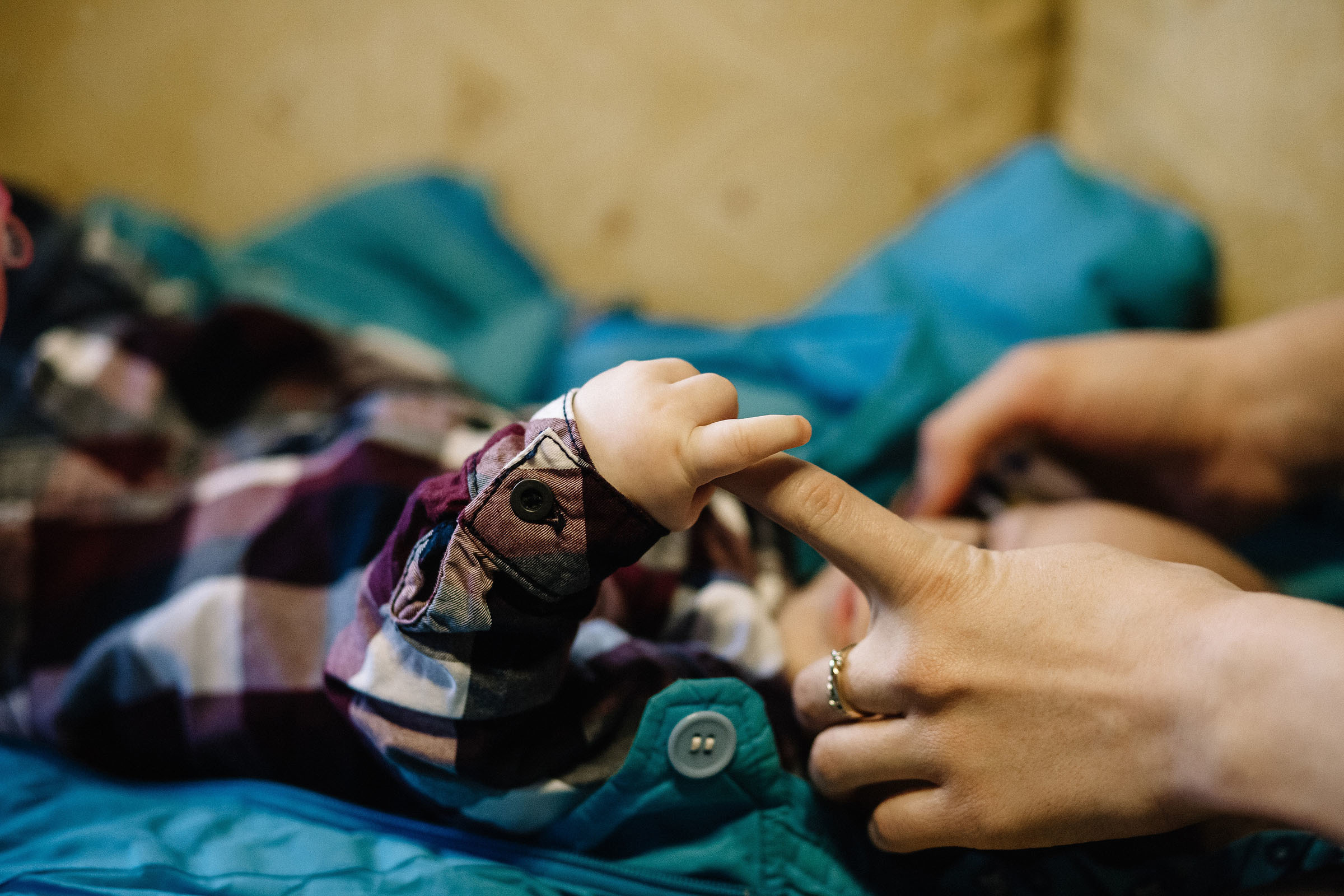 Новый год / Фотостудия «Шишка». Семейный и свадебный фотограф в Майкопе Михаил Мартиросян