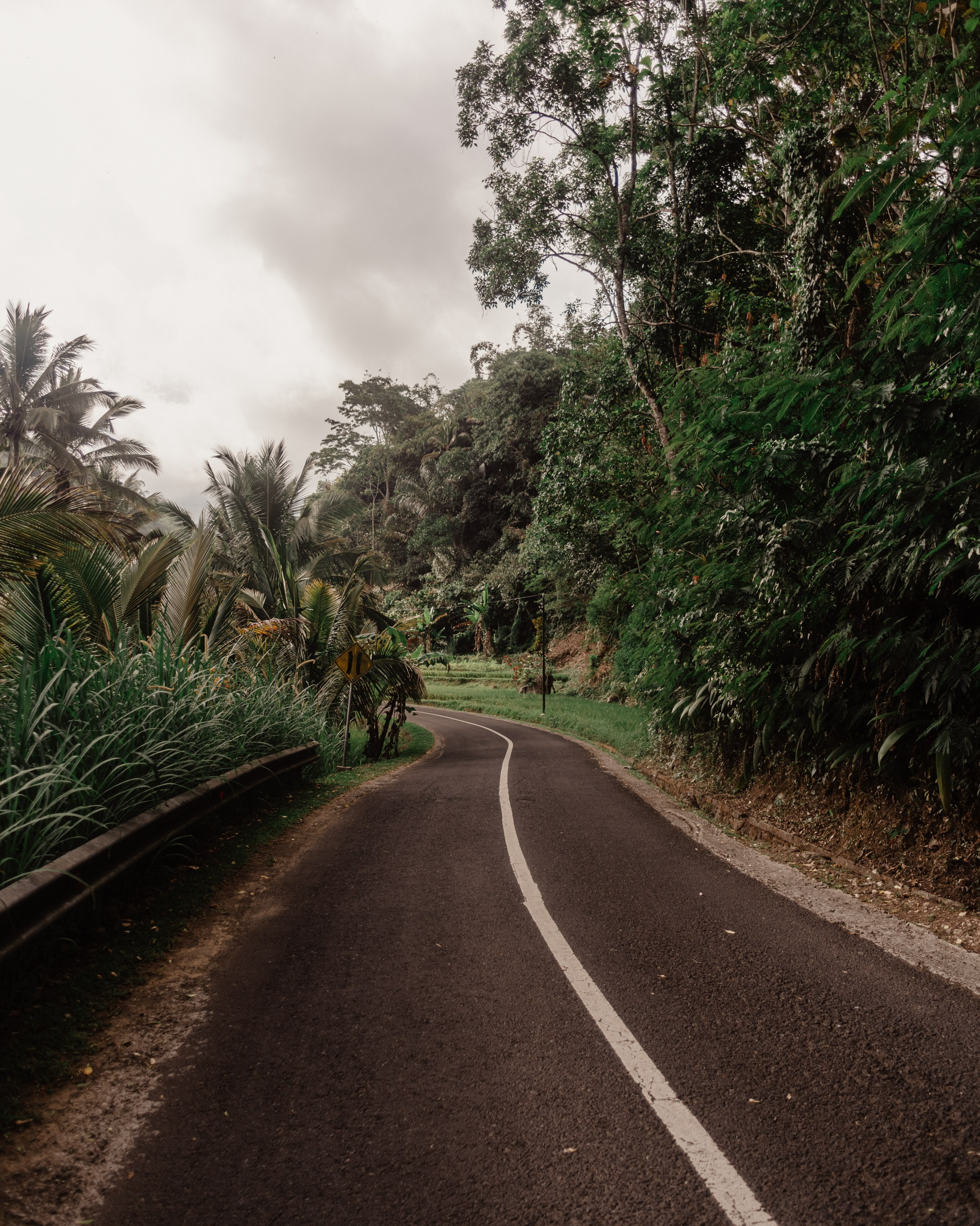 Bali. Indonesia. Photographer in Tokyo Anatolii Ozarto