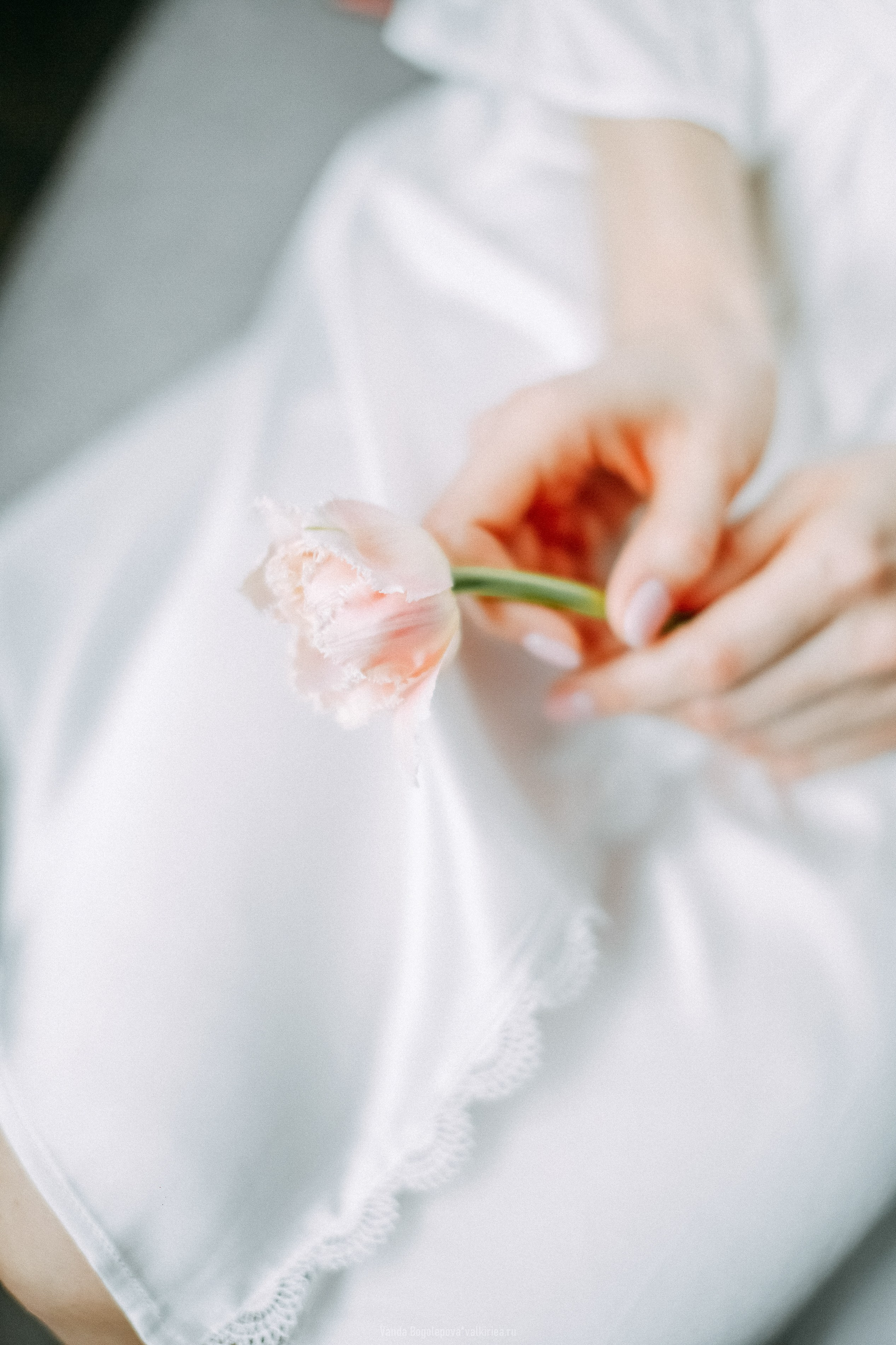 Bronson & Екатерина. Фотосъемка, свадебная фотосъемка, Москва, Нижний Новгород