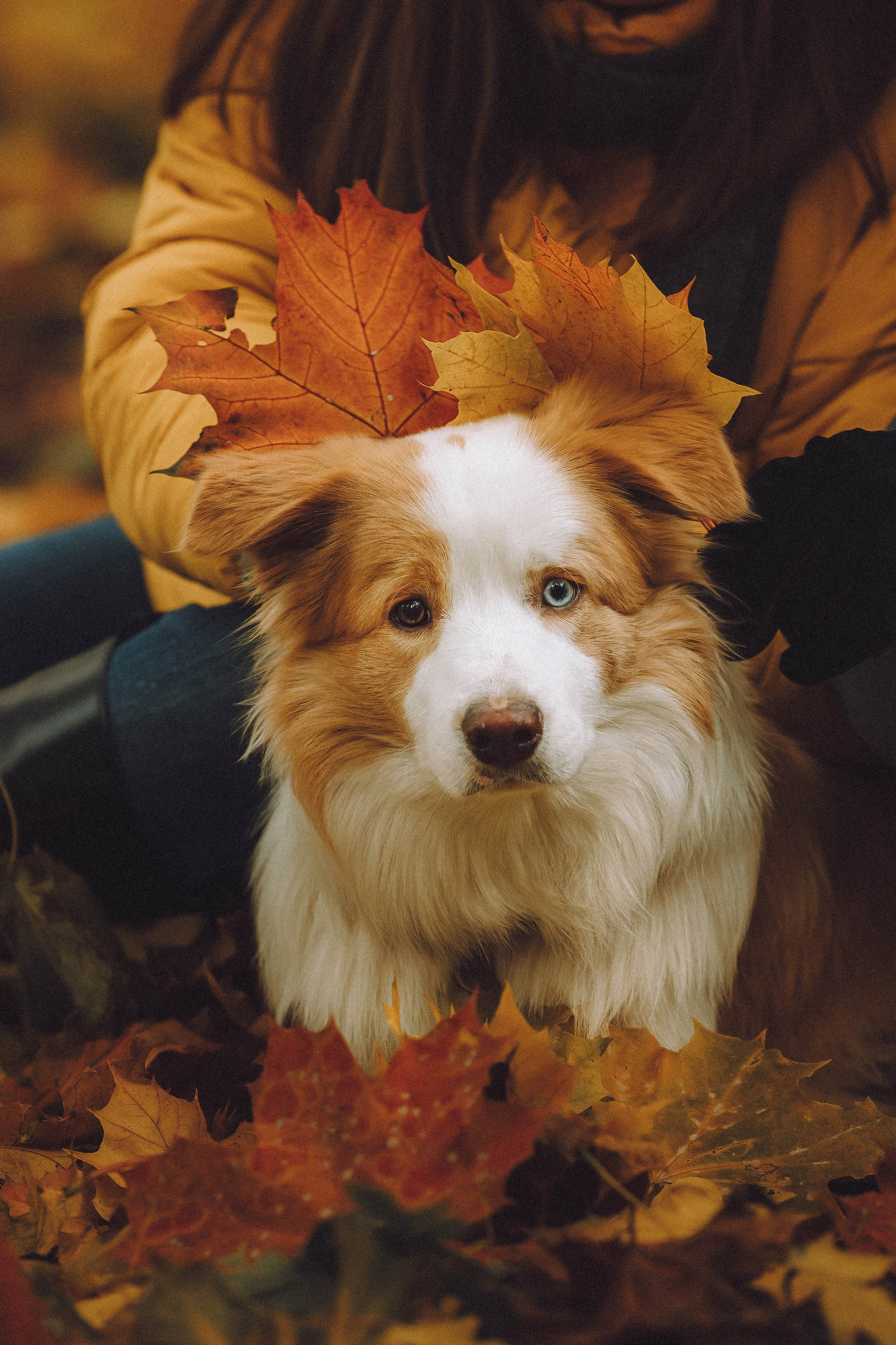 Алина, Витя и Асти