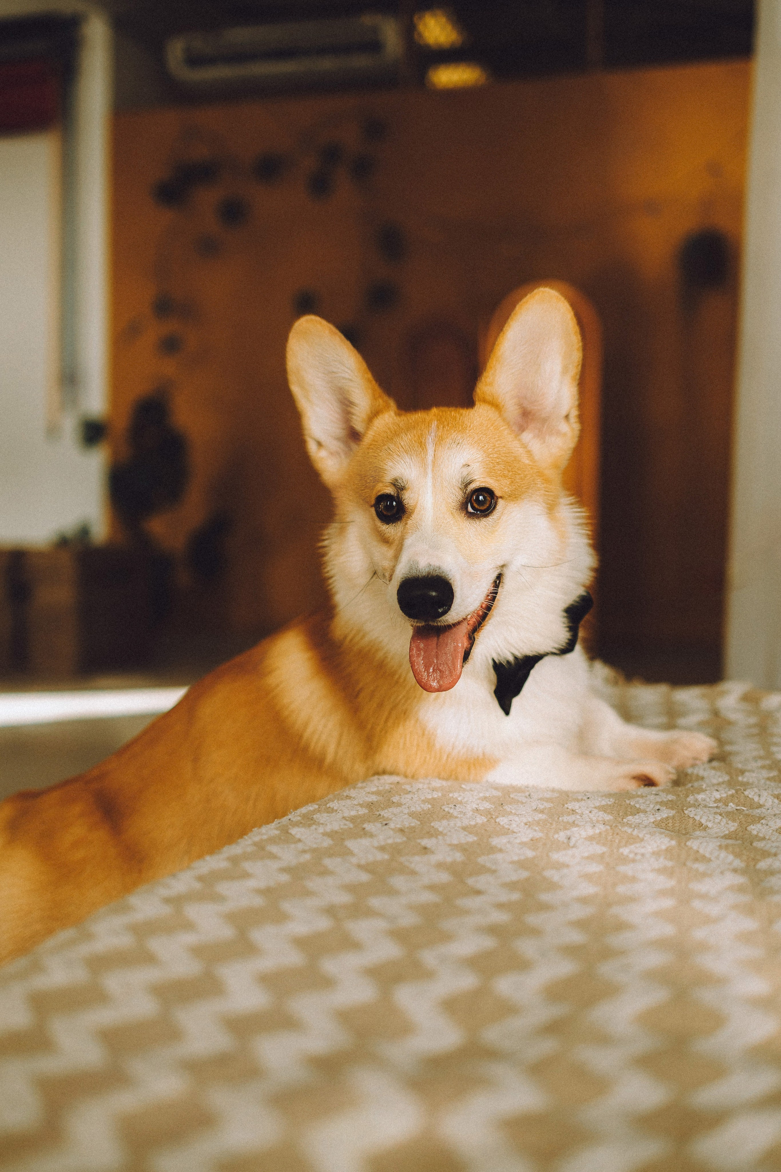 Наталья, Евгений и Мерлин