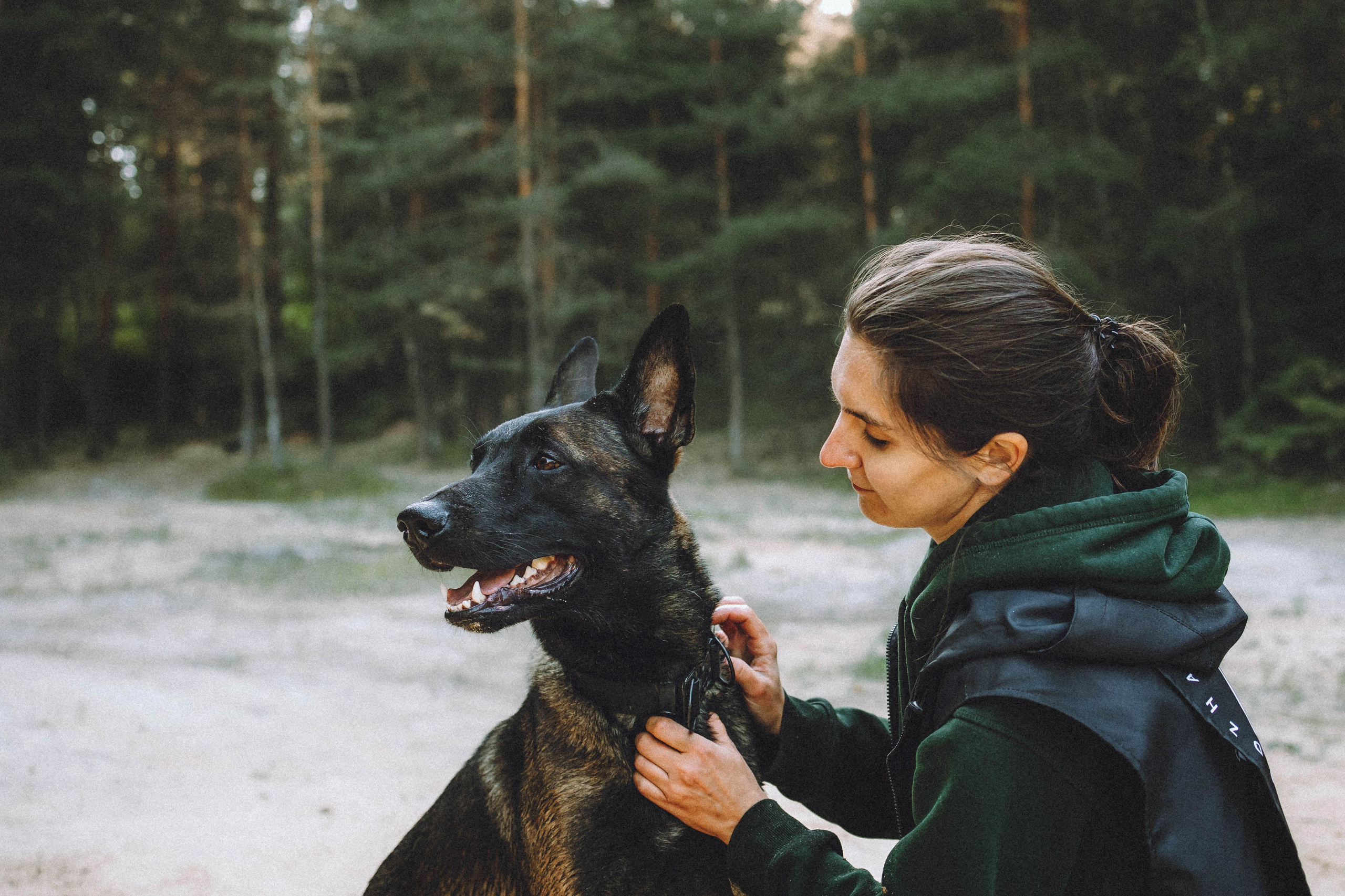 Таня, Ерш и Оллик