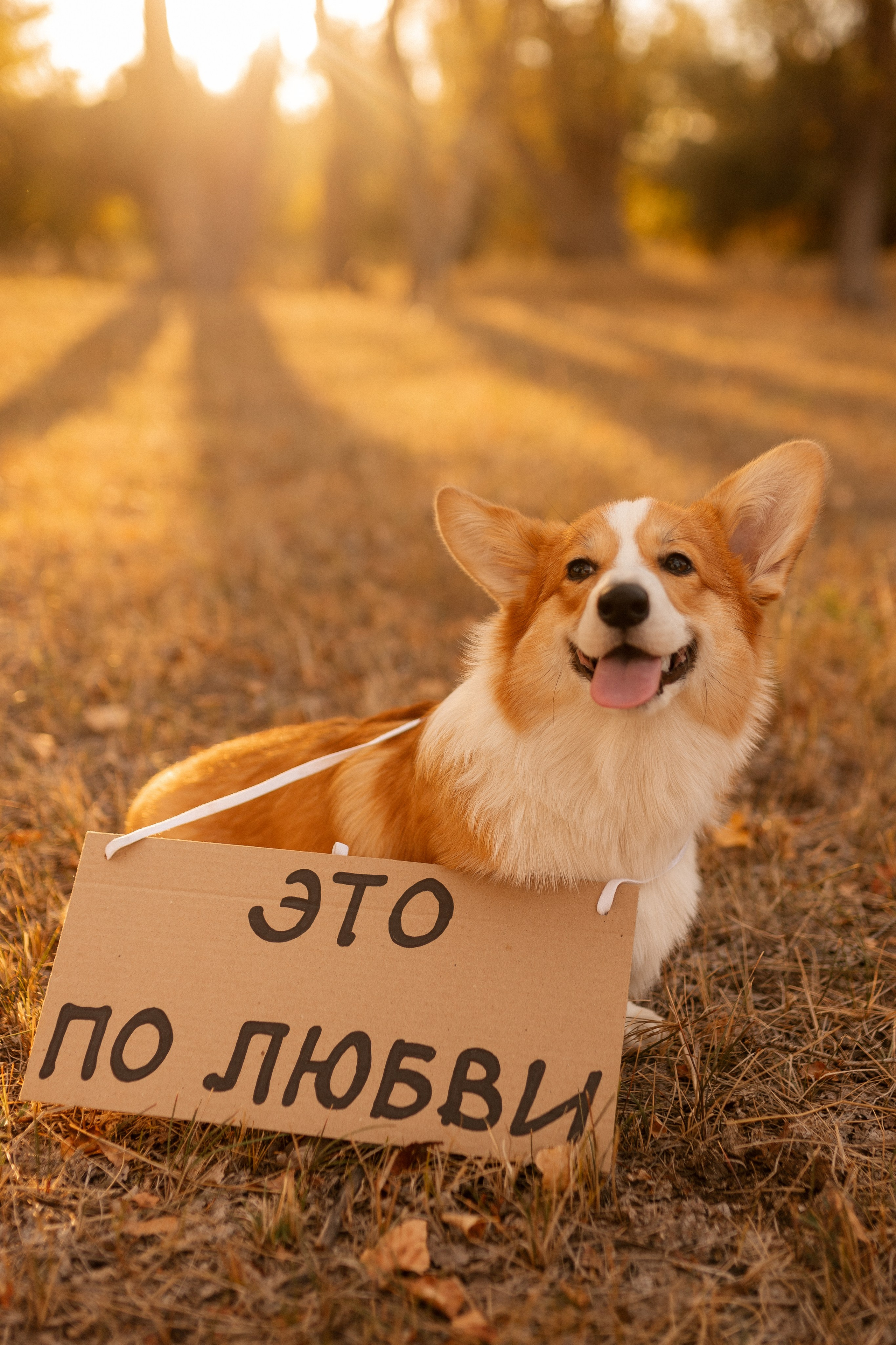 С&П. Фотограф Оля Климова, обучение фотографов