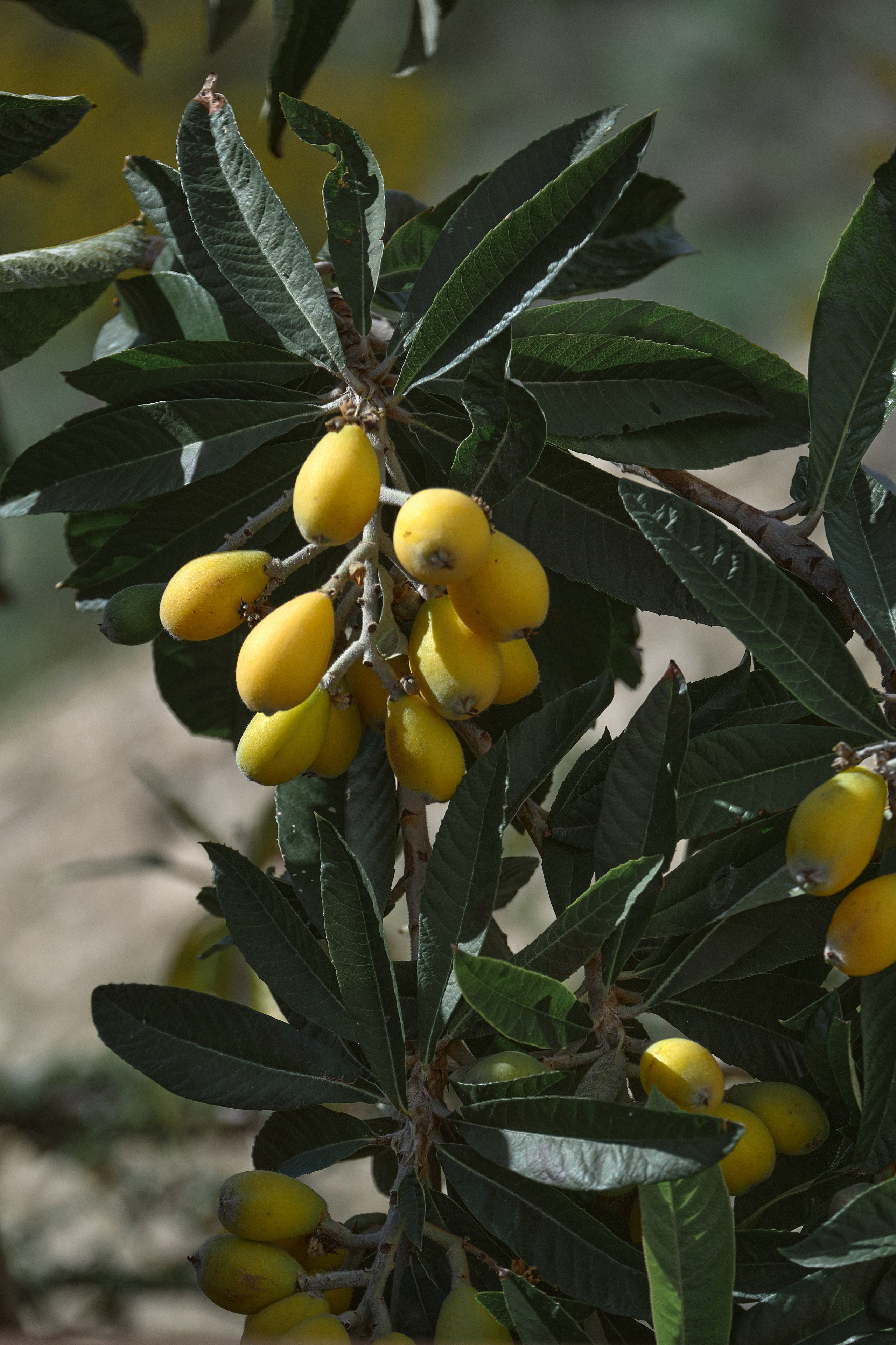 Cyprus 2024 / march. Aleksandr Kobtsev