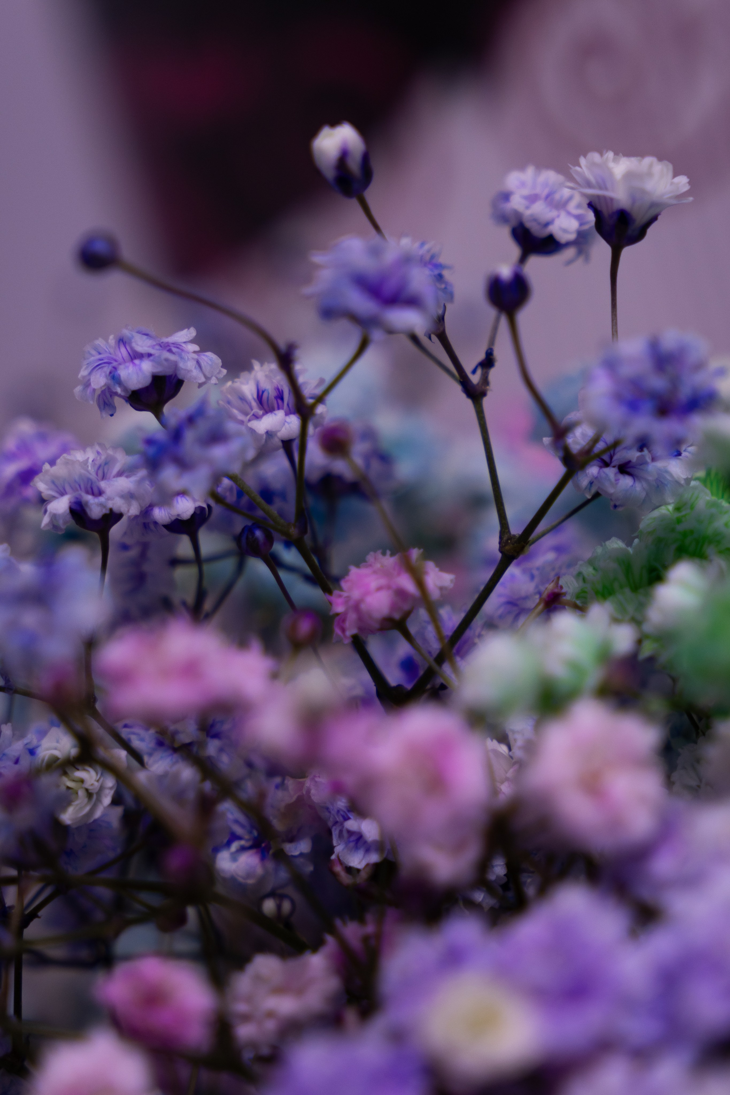 детали каждой ветки цветка