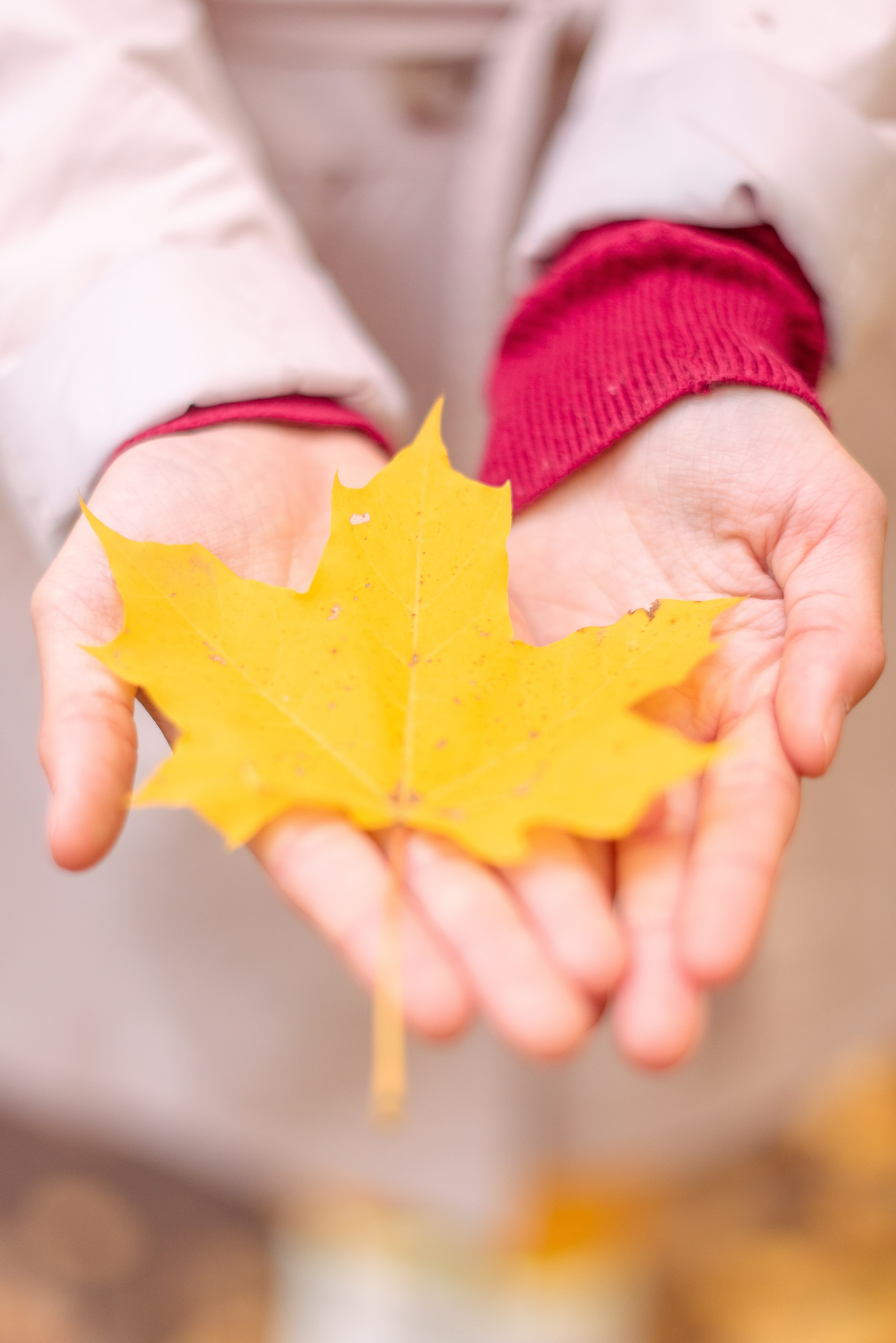 Осенняя прогулка семьи Андрея и Марины. Свадебный и семейный фотограф в Москве Юлия Винник