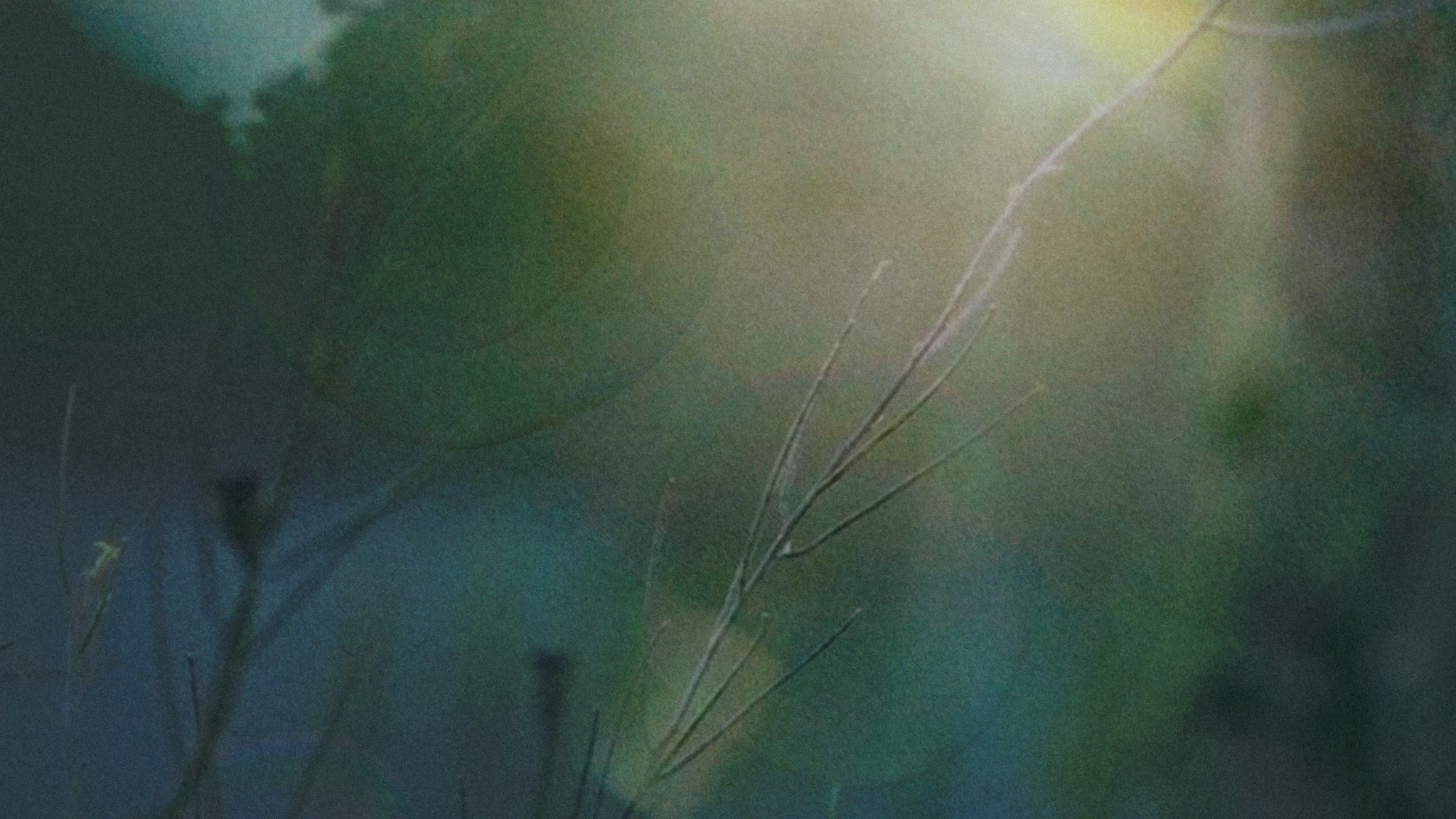 ARTIST’S STATEMENT. Zhanna Tyugay is a fashion photographer, visual artist and film maker based in Novi Sad