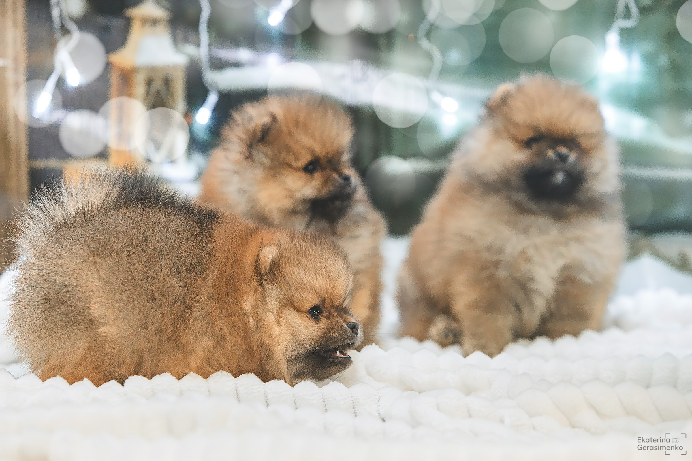 Фотодень. Htykk_photo