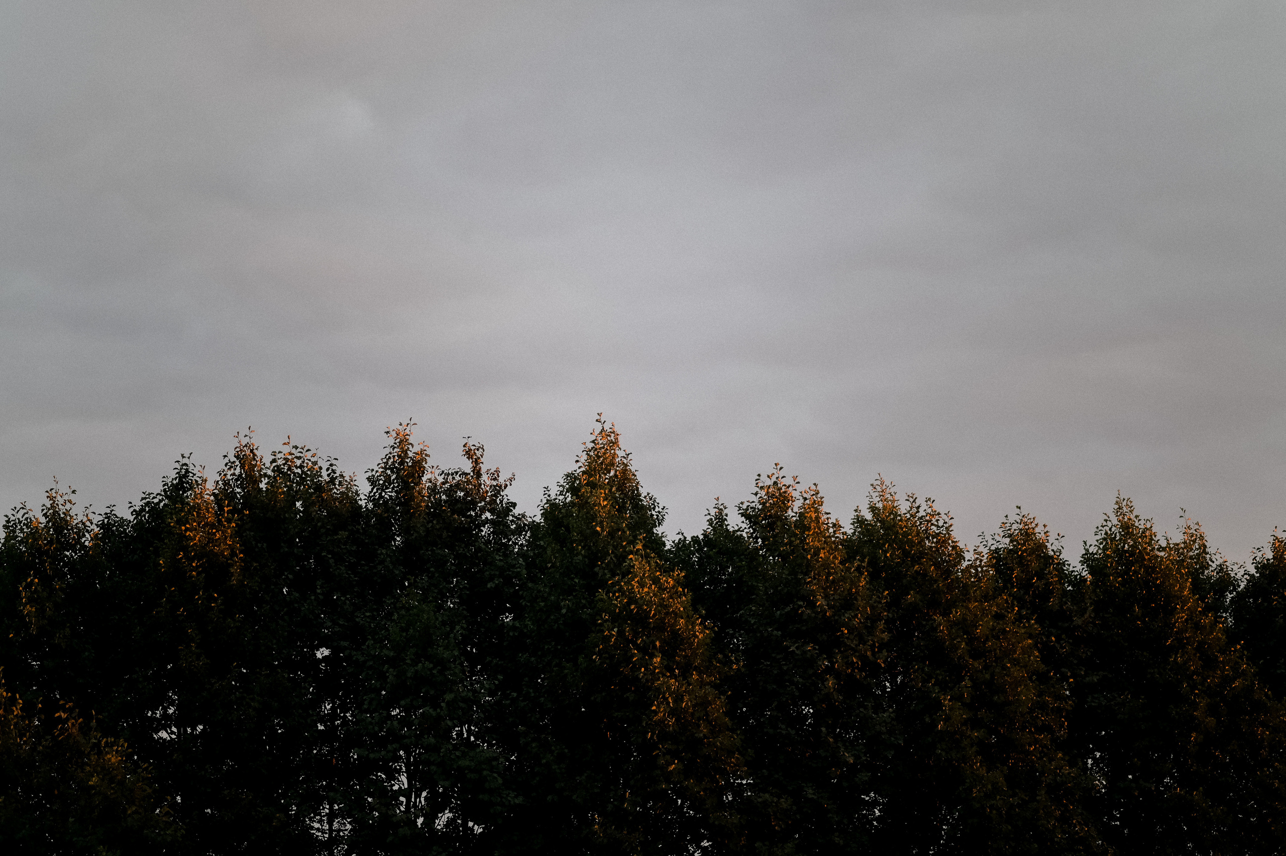 Всего-то до конца жизни. Свадебный фотограф Евгения Черепанова