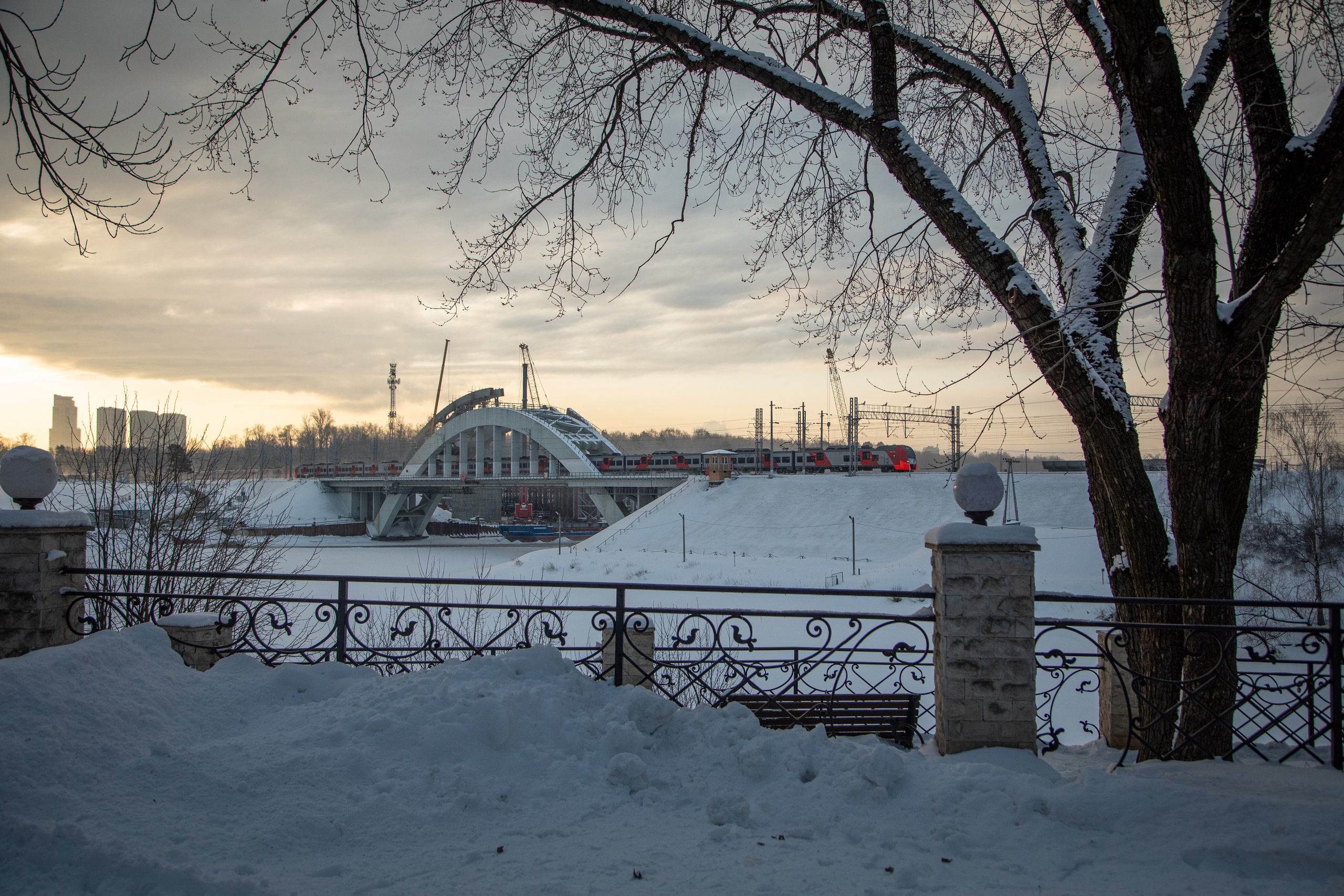 5 вёрст Химки, 90 забег, 10 февраля 2024 г. Фотограф Сергей Ловкий