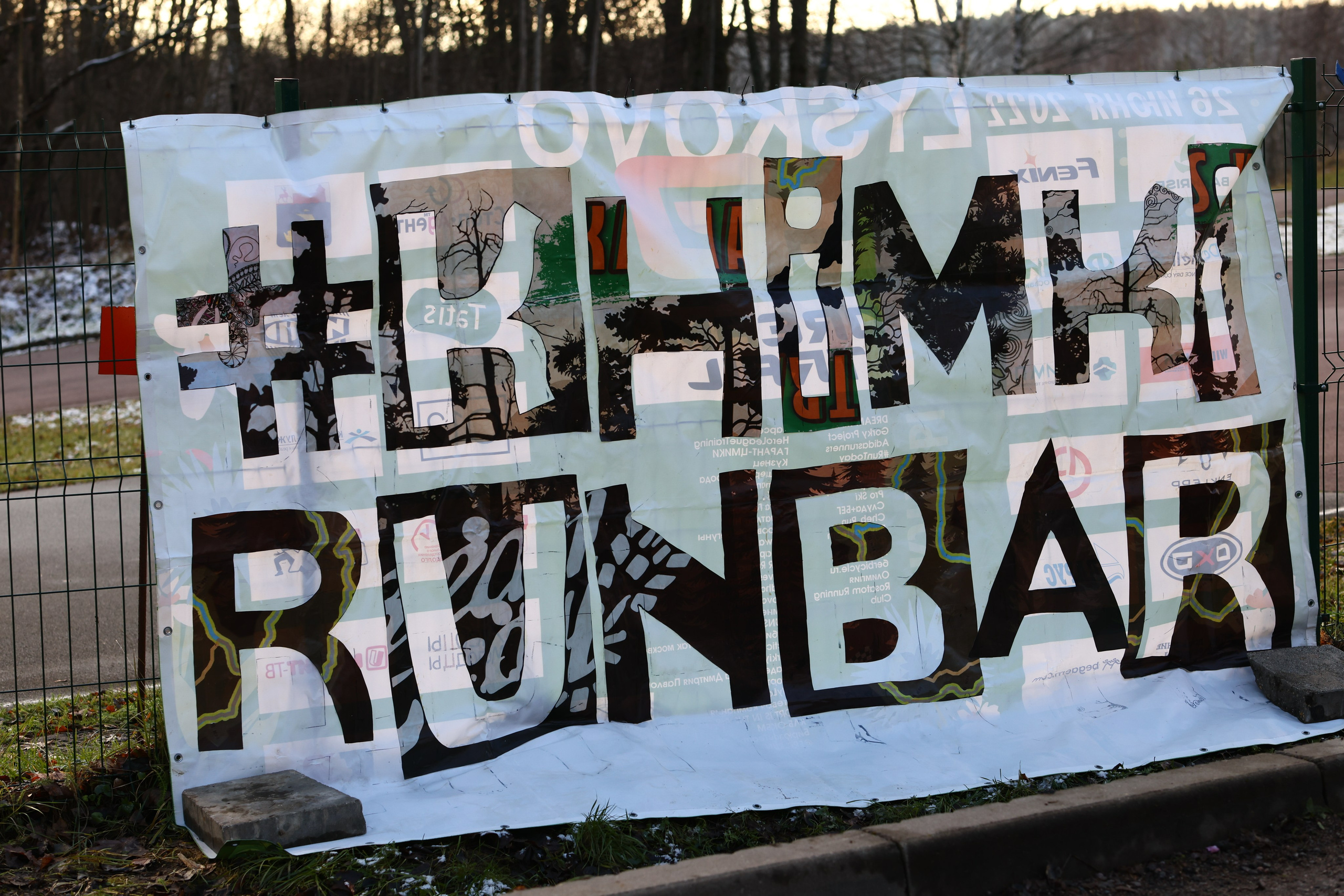 Два лепестка Химкинского марафона у дома, 23.11.25. Фотограф Сергей Ловкий