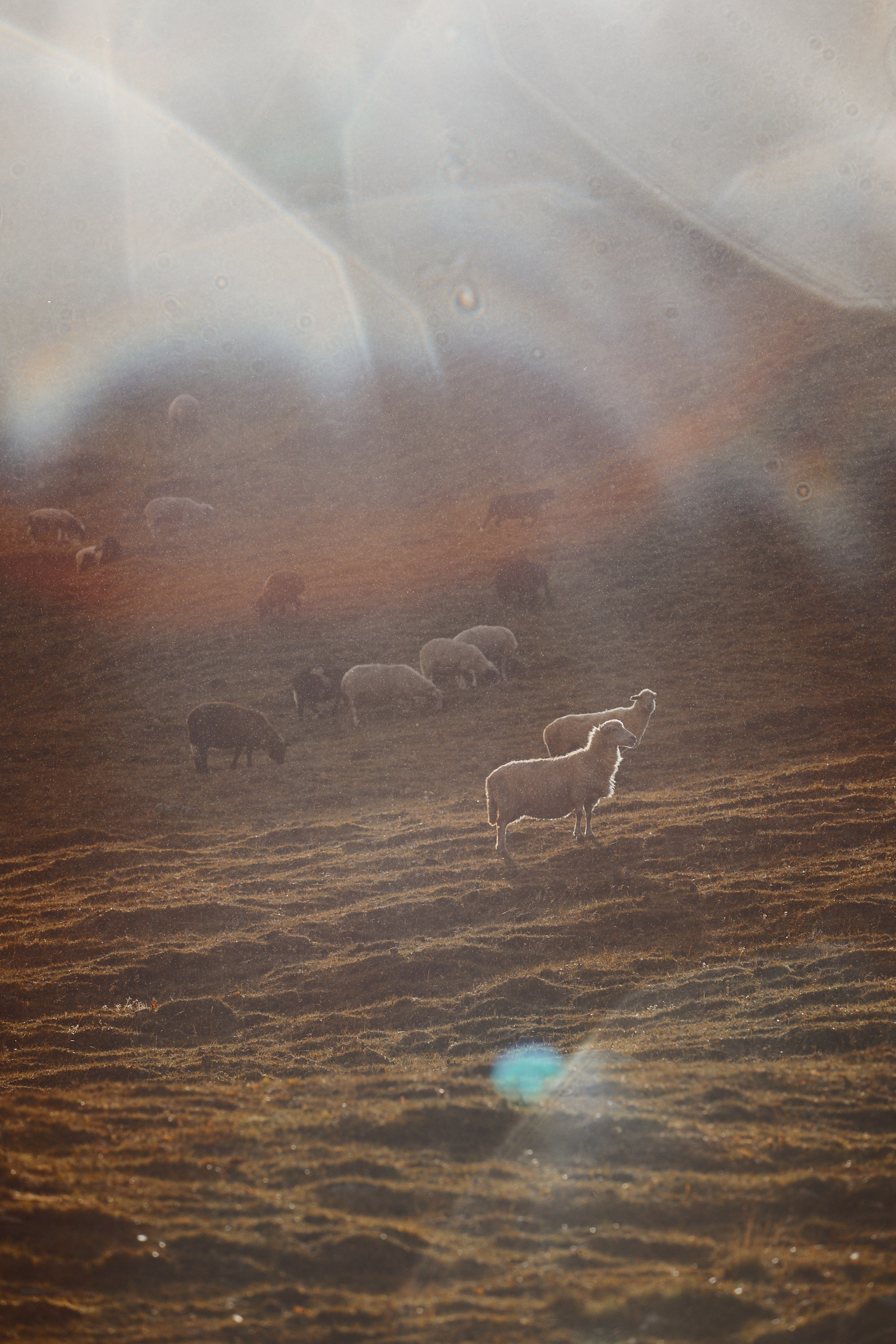 Озеро Гийбашкель. Фотограф Продюсер в горах КБР / Москва  Нальчик Горы