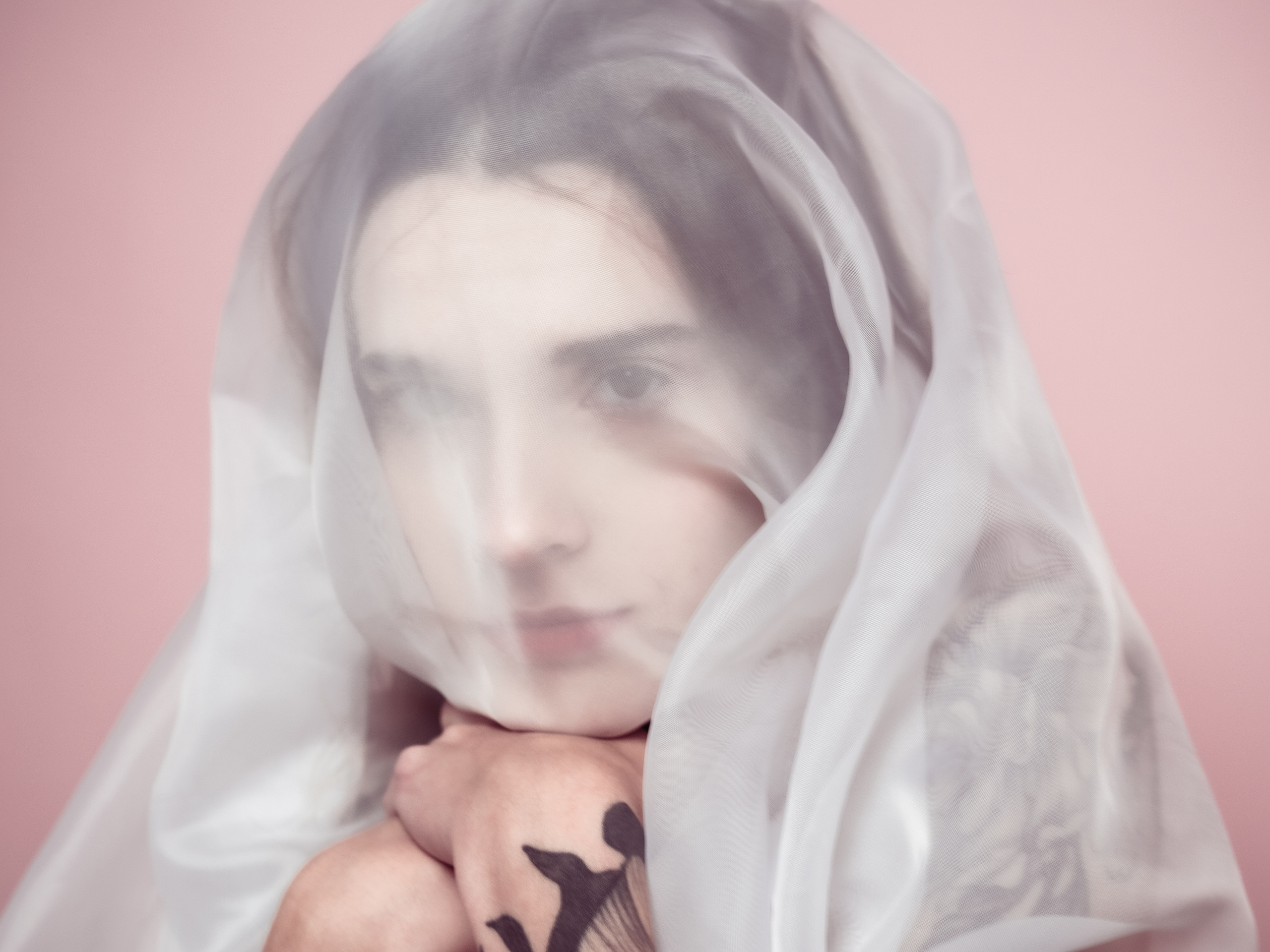 STUDIO PHOTOGRAPHY. SOBOL ROMAN