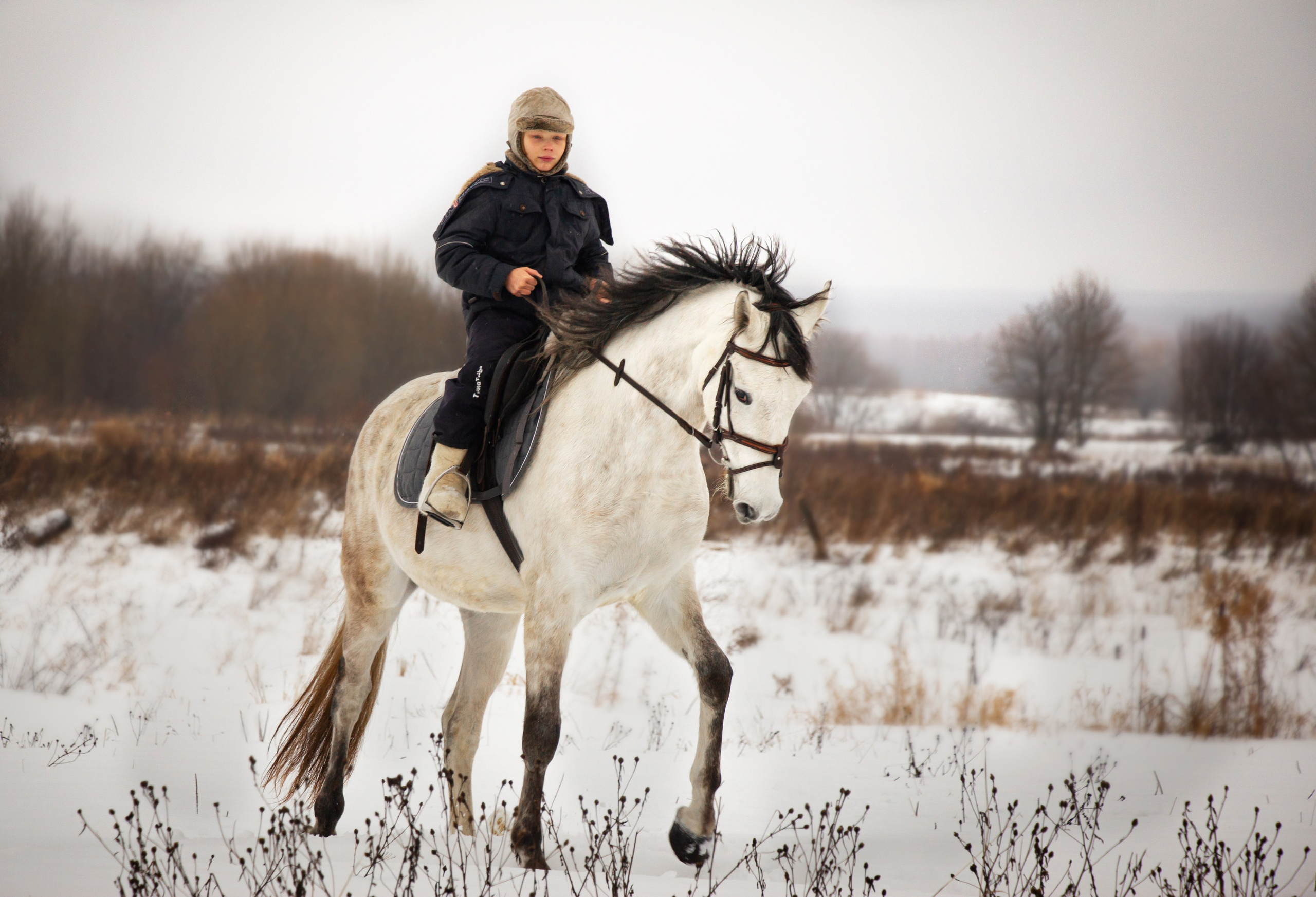 Зимой на белом коне. Фотограф в Москве Юлия Карпова