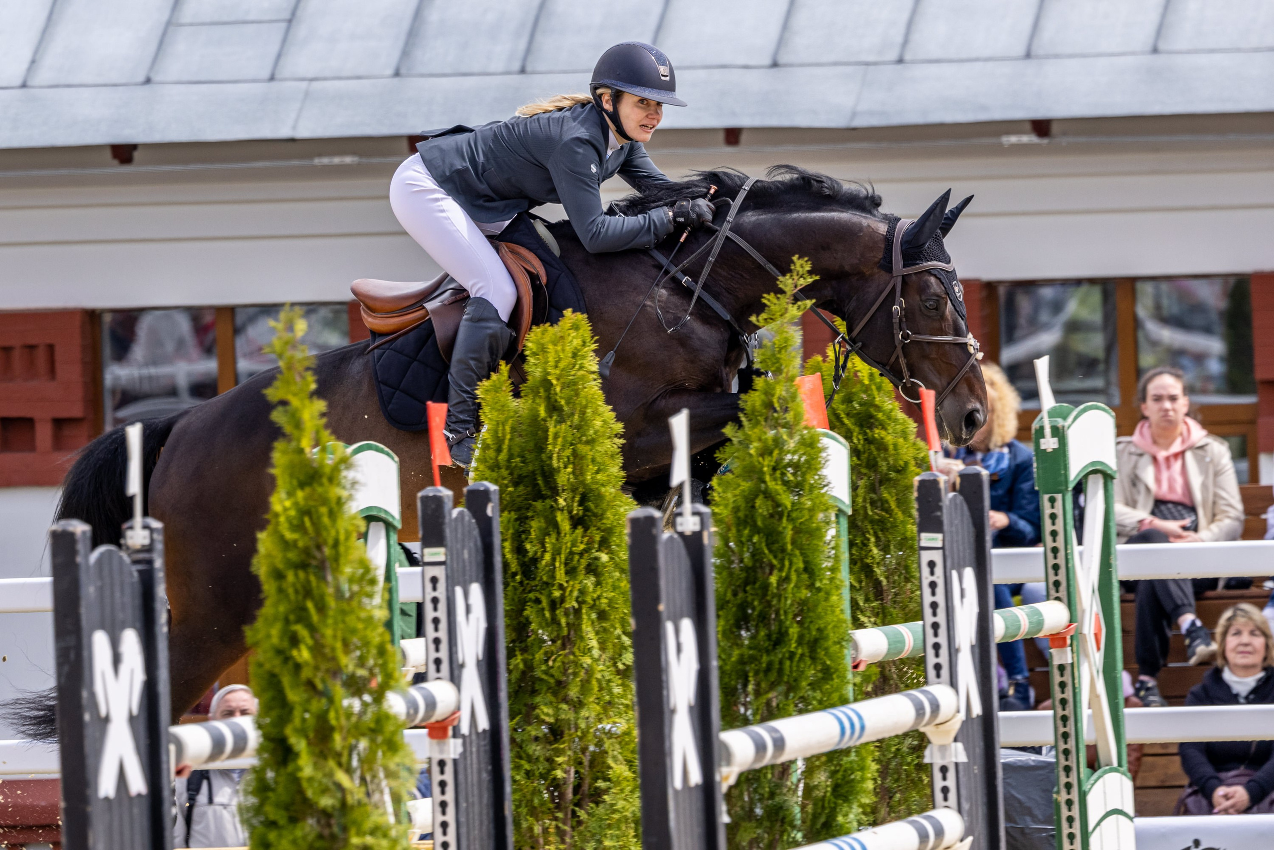 Конкур. Mrs.Aquarelia Конный фотограф Марианна Леонтьева