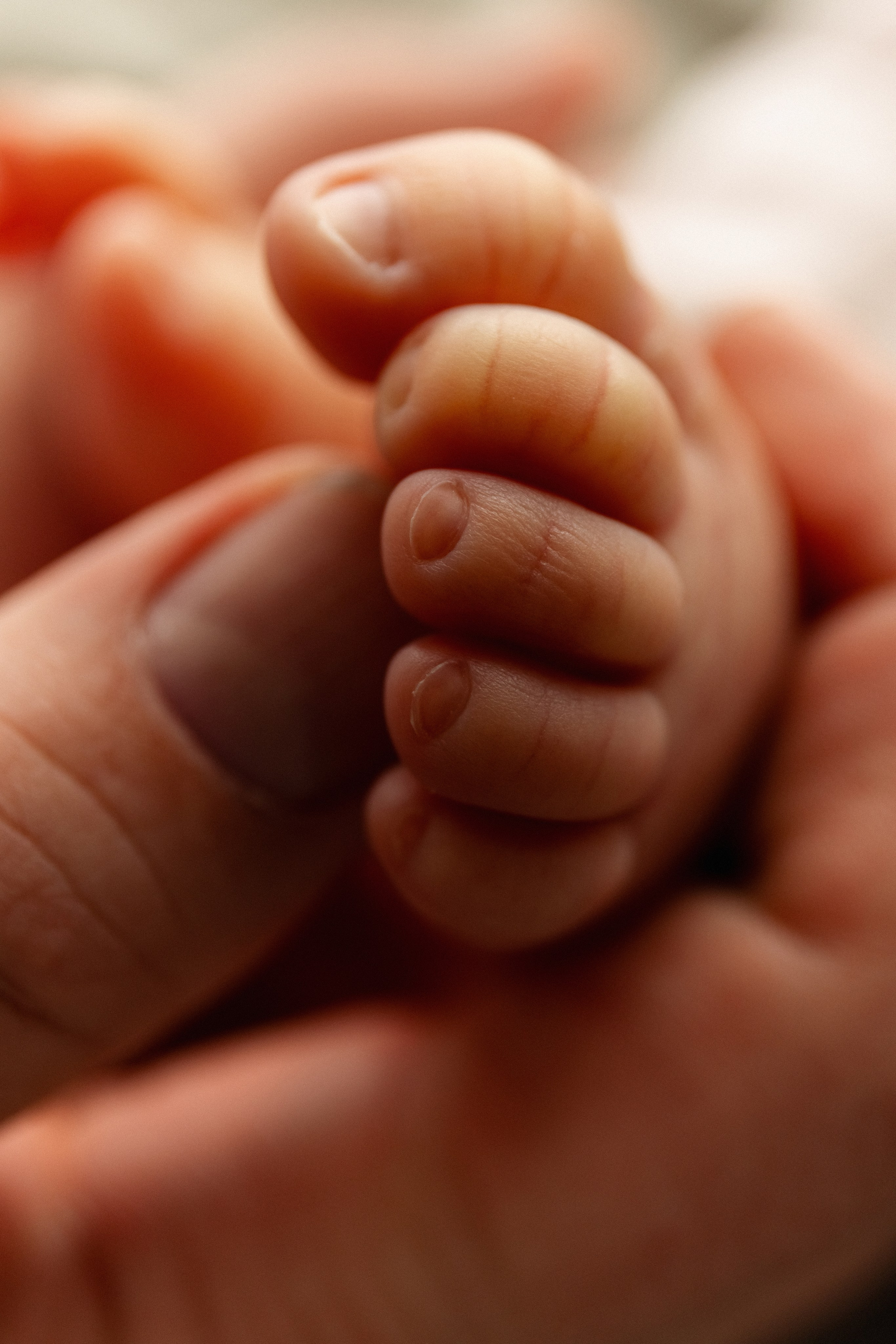 Фотосессия новорожденных в Мурманске, фотограф новорожденных. Мария Махинина — фотограф в Мурманске и Североморске