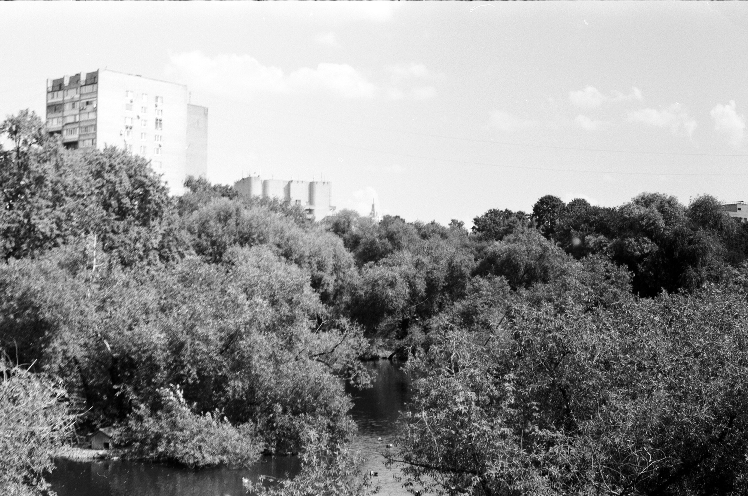 Альбом пленочных ЧБ-фото. Репортажный и семейный фотограф — Шелихов Сергей