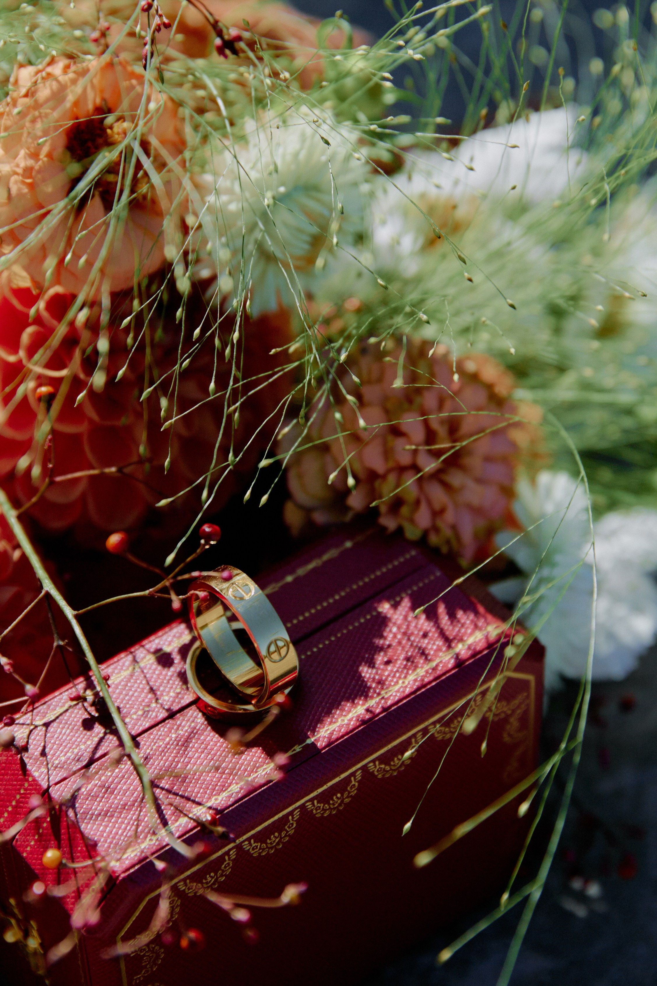 ПЕ-ПЕ-ПЕ. Фотограф Елена Краснопевцева