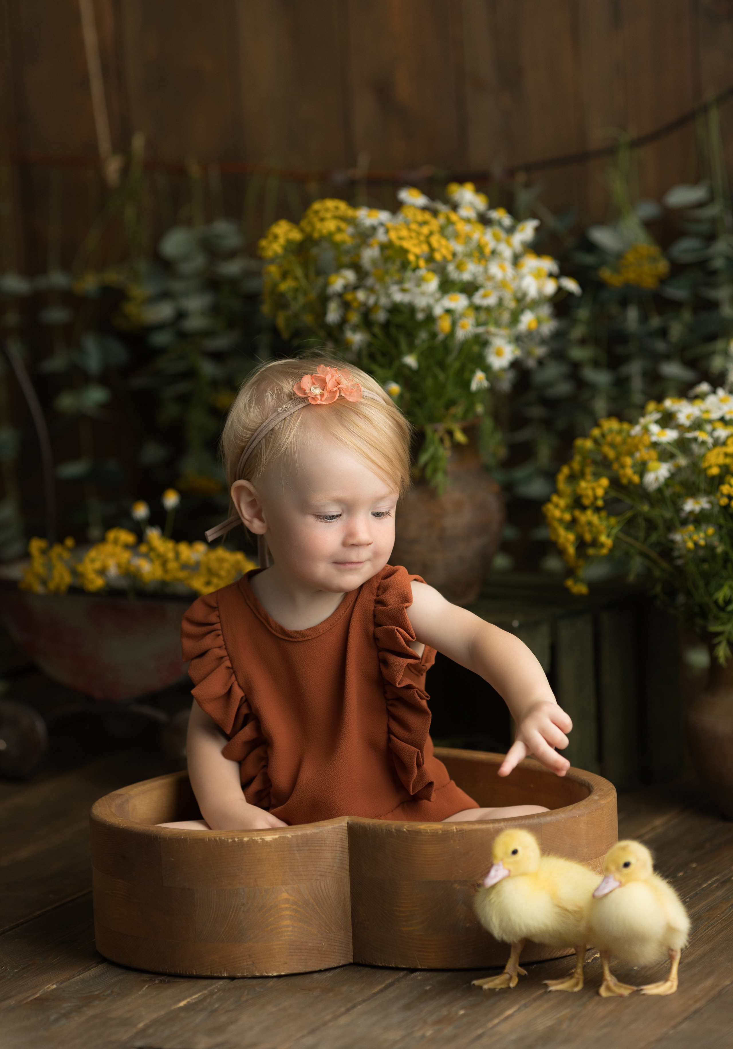 Утки. Главная