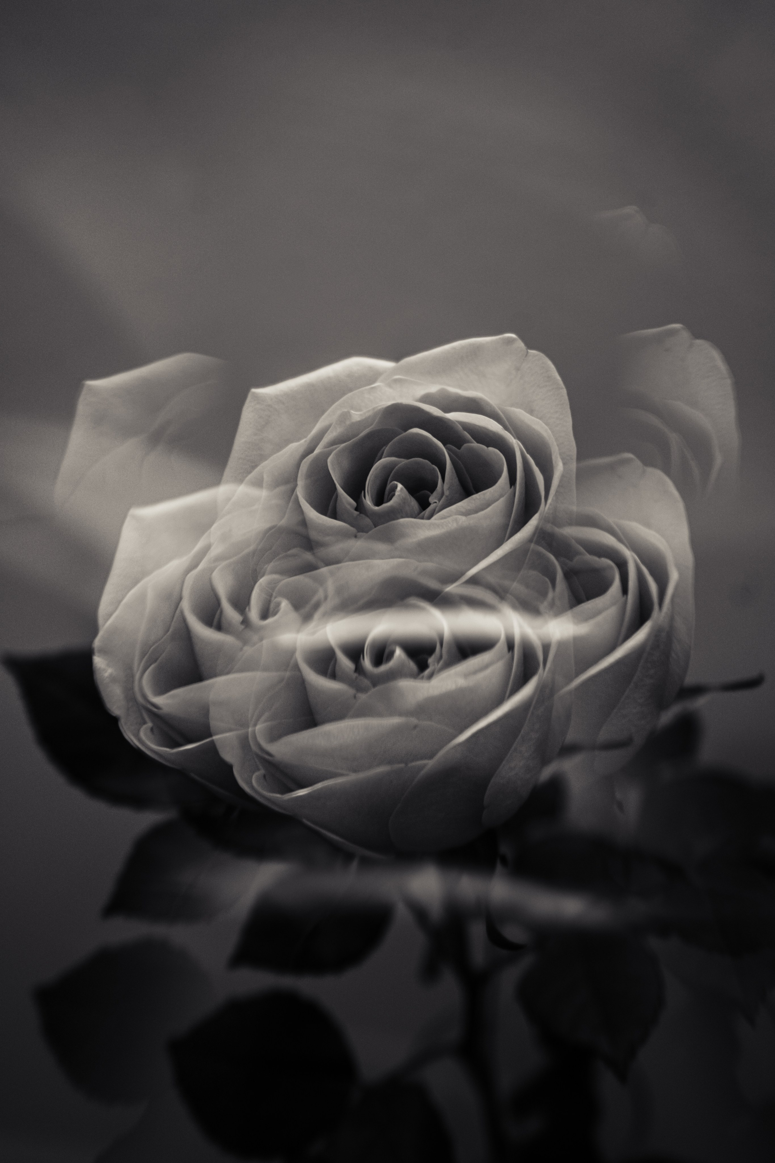 Товары. Фотограф Алиса Аспер