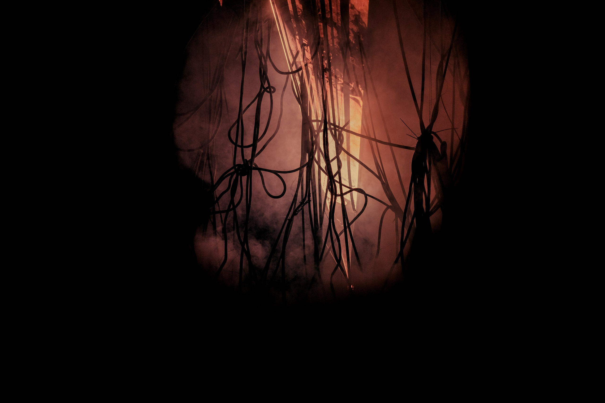 ХАСКИ. РАДИО СПГС’24. RUSLAN ROZANOV