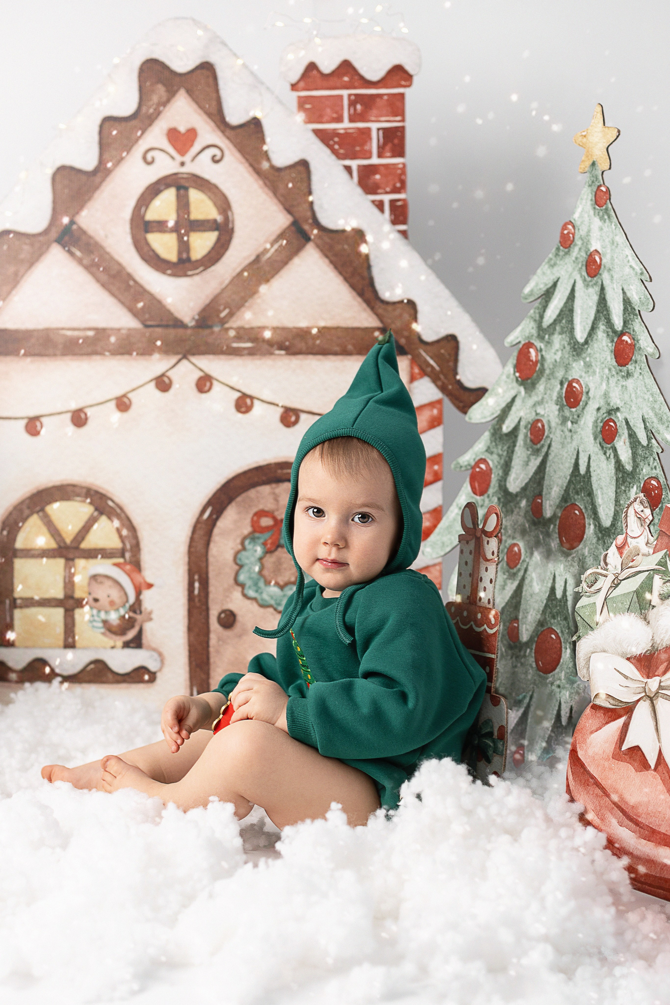 Новый Год. Фотограф новорождённых и малышей до года в Томске, Светлана Торопова