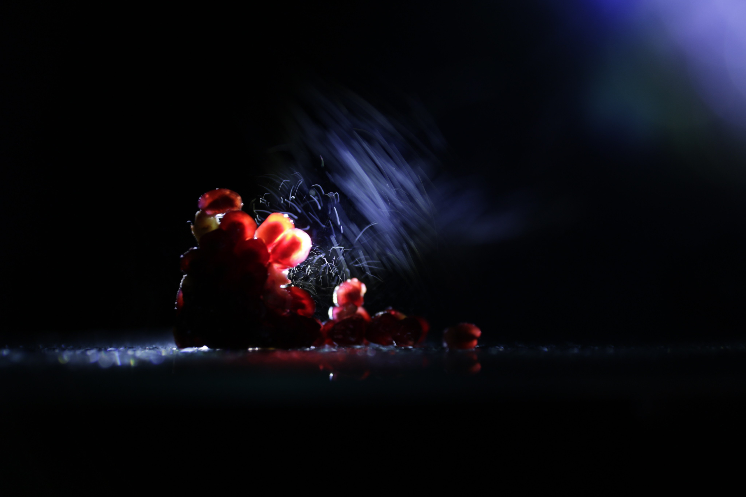 Пища для глаз. Ваш фотограф Северск | Томск