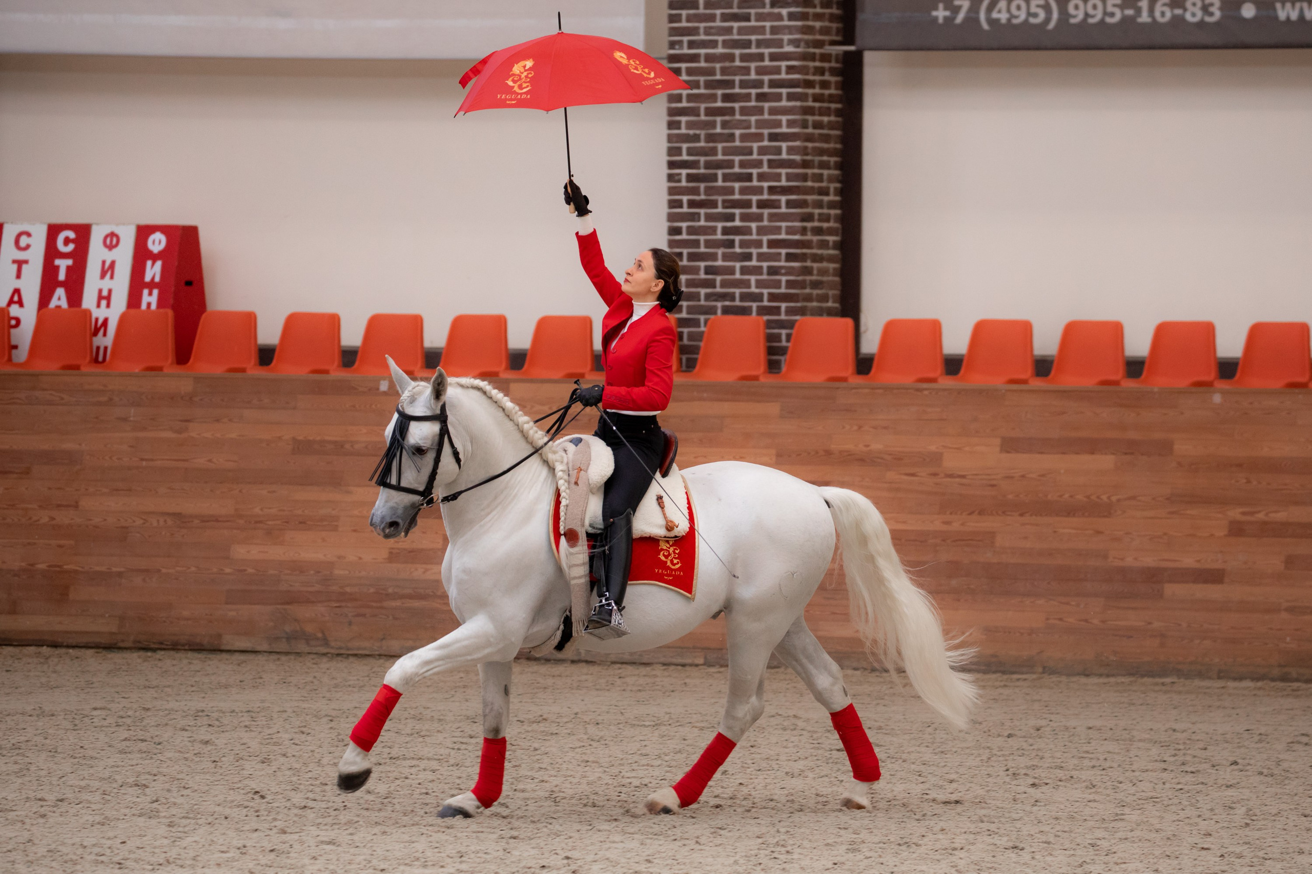 Конные выставки. Mrs.Aquarelia Конный фотограф Марианна Леонтьева