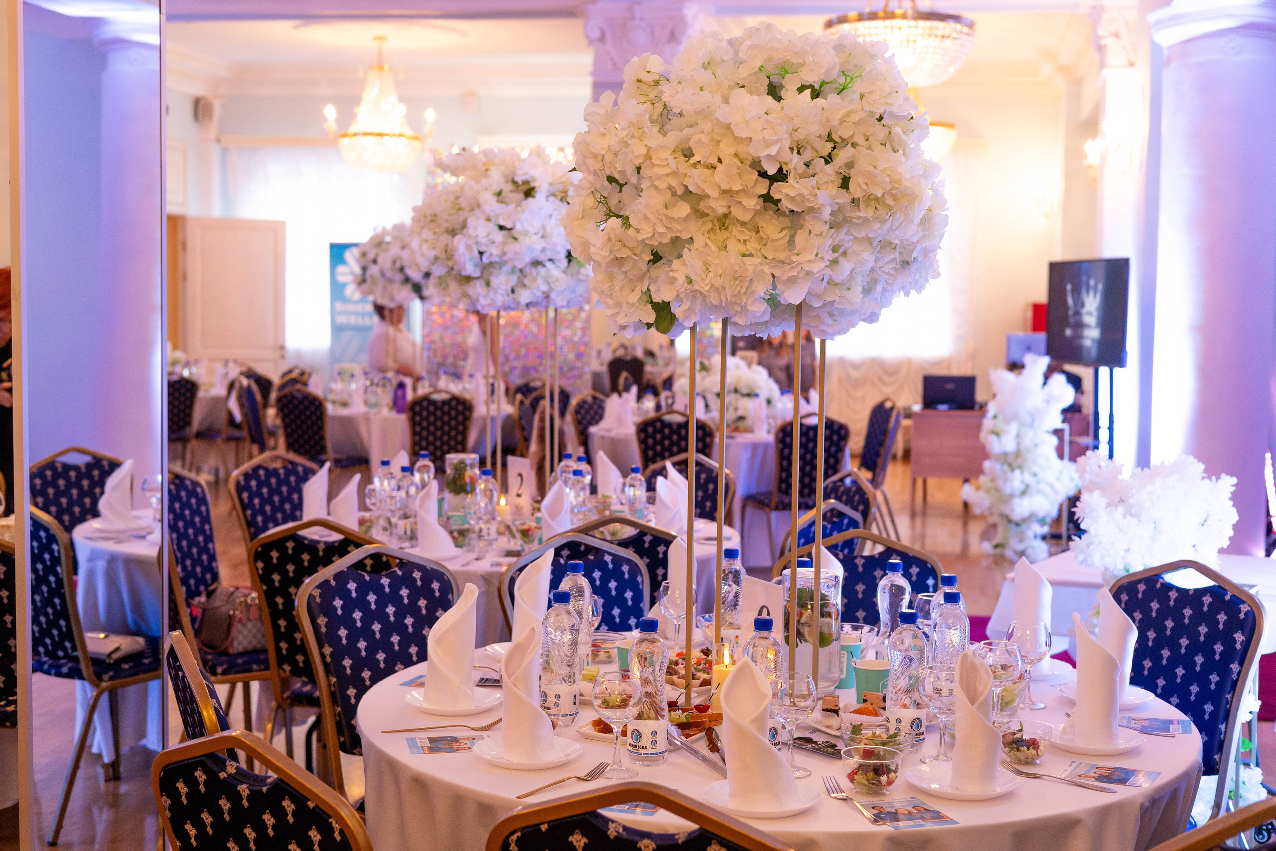 Мисс и Миссис Бизнес Гатчина 2025. Открытие. Главная