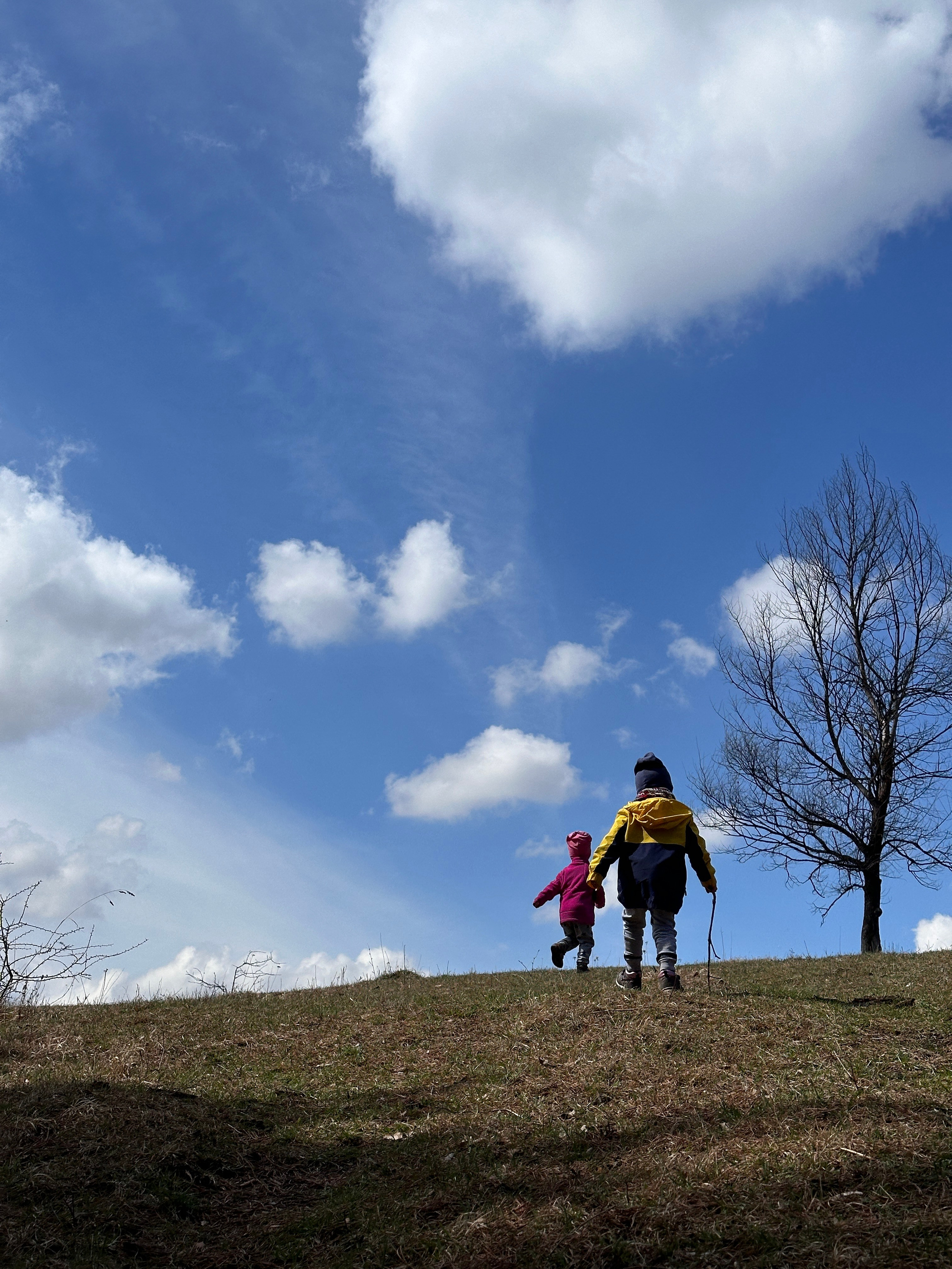 Дети. Смотри, красота!
