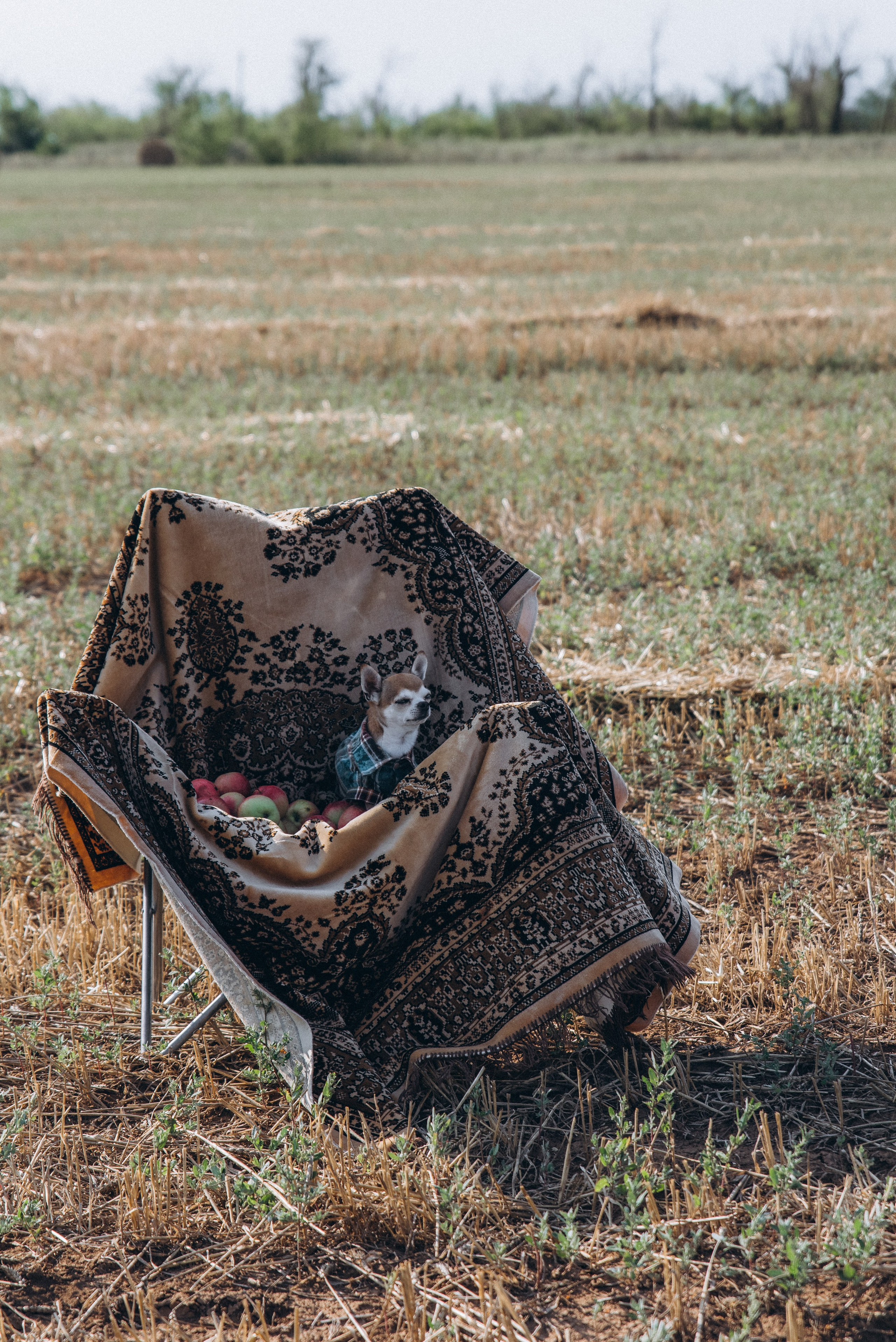 ЛЕНА. Ольга Козлова фотограф Волгоград olkiny-fotki.ru