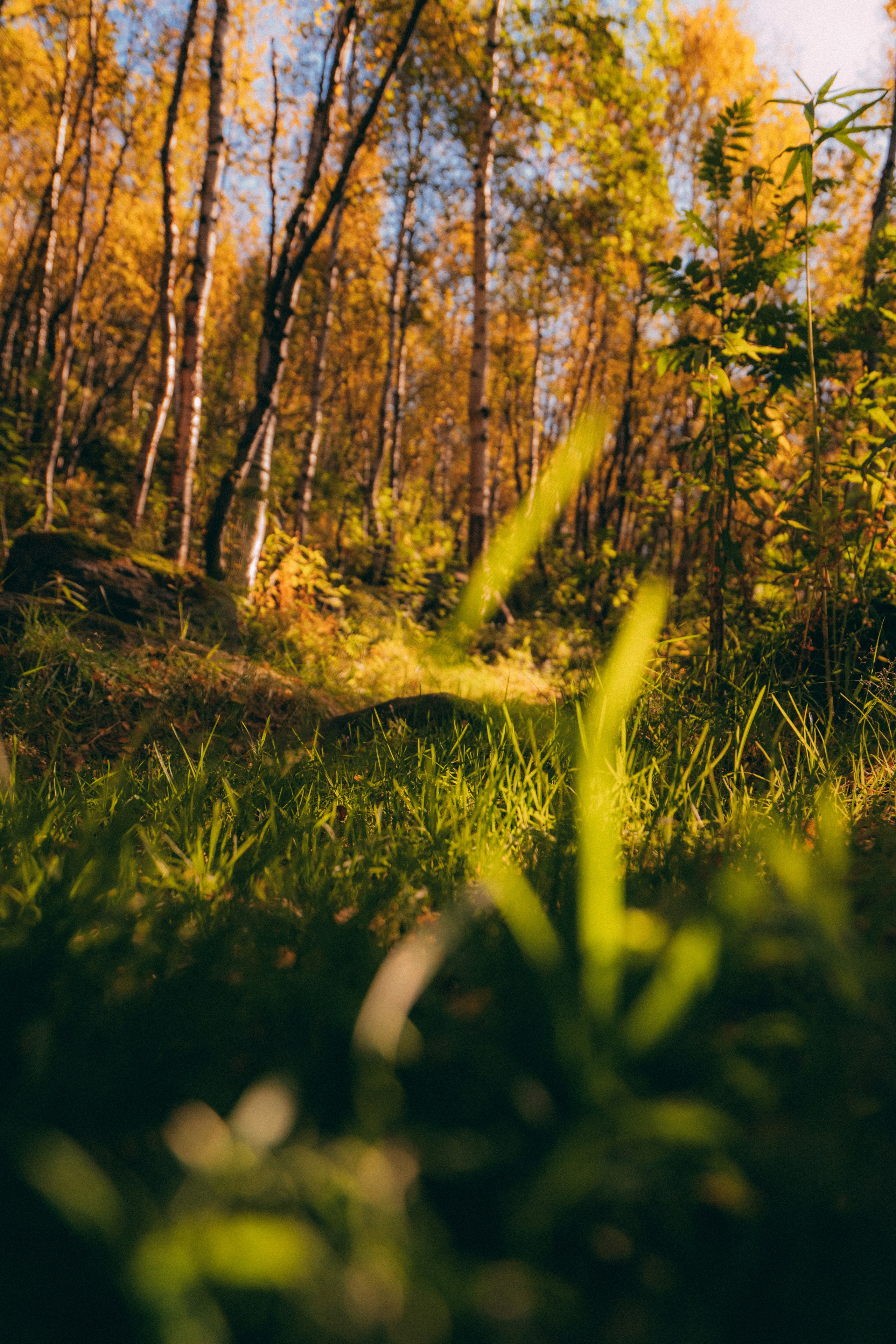 Мурманск. Фотограф Алиса Аспер