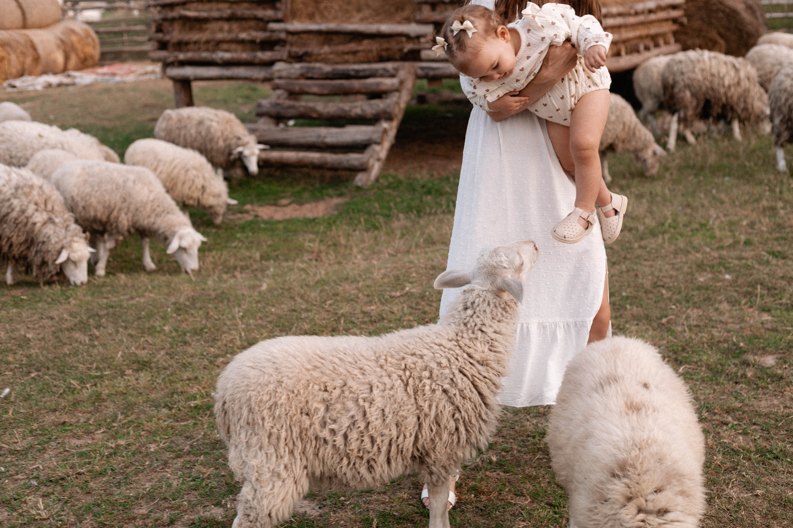 Годик Нине. Свадебный и портретный фотограф Соломко Диана