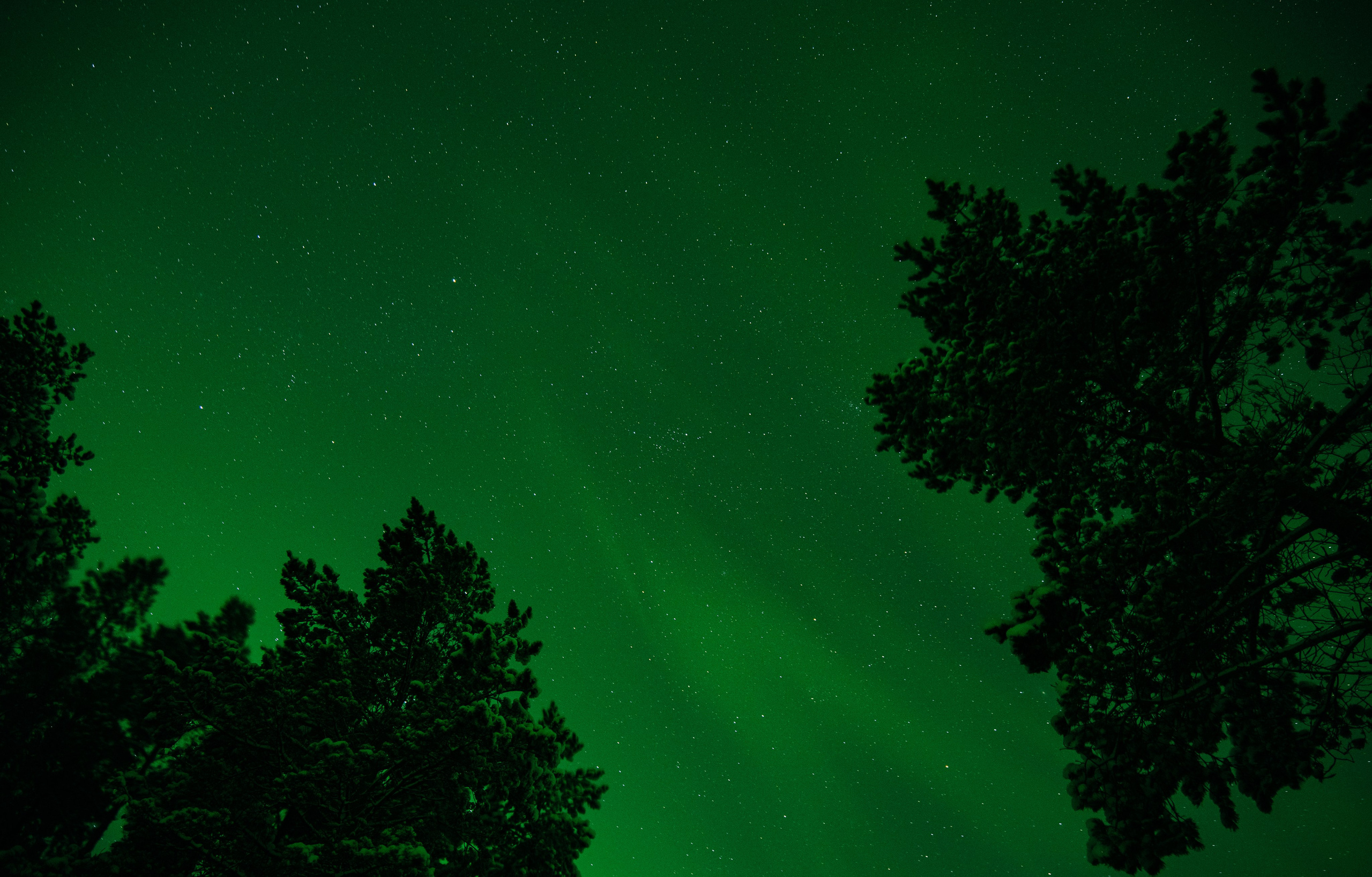 КАРЕЛИЯ / ЗИМА. Создание контента | Фото | Видеосъемка | Александр Ярков